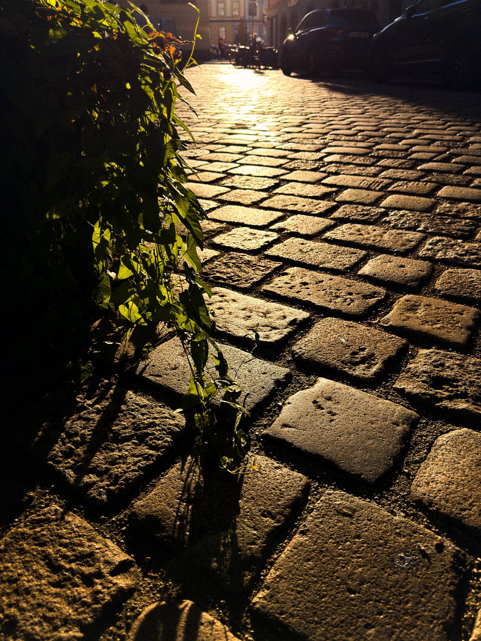 Sundowner in the streets of Linz