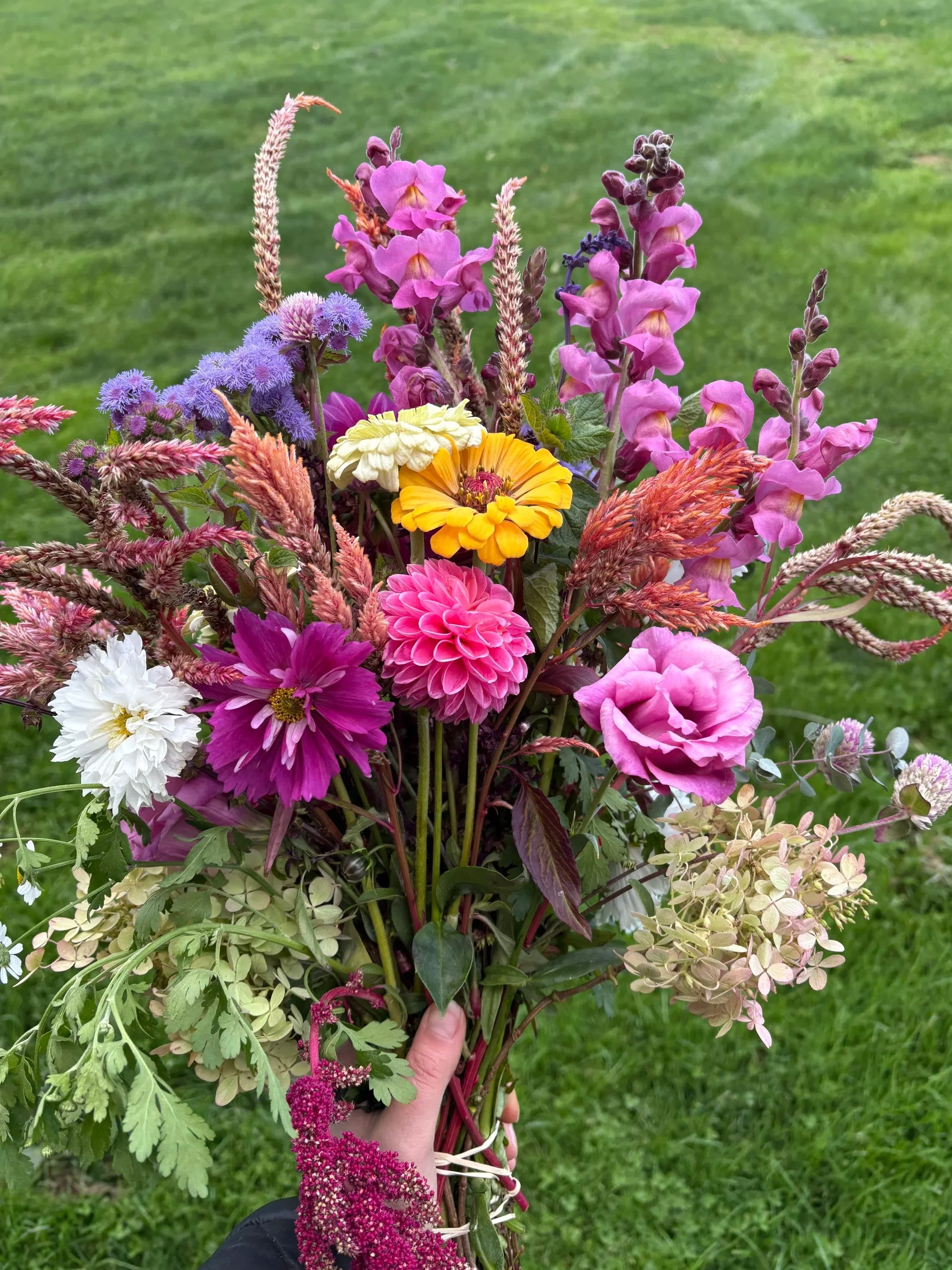 Abundance Blooms Full Season Subscription