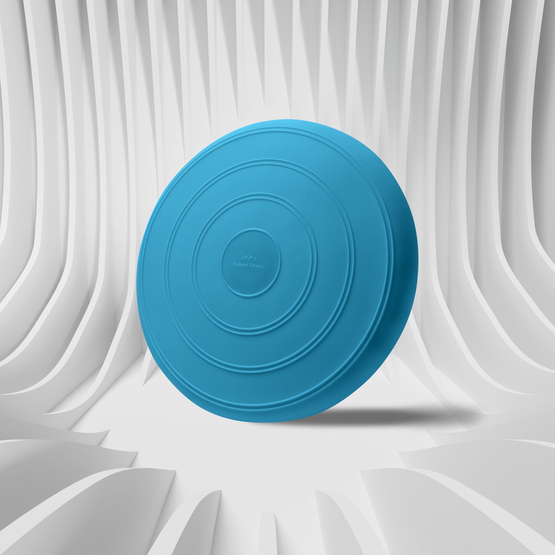 A blue circular exercise disc with concentric circles, labeled "Everest Fitness," positioned on a white surface with white curved panel background.