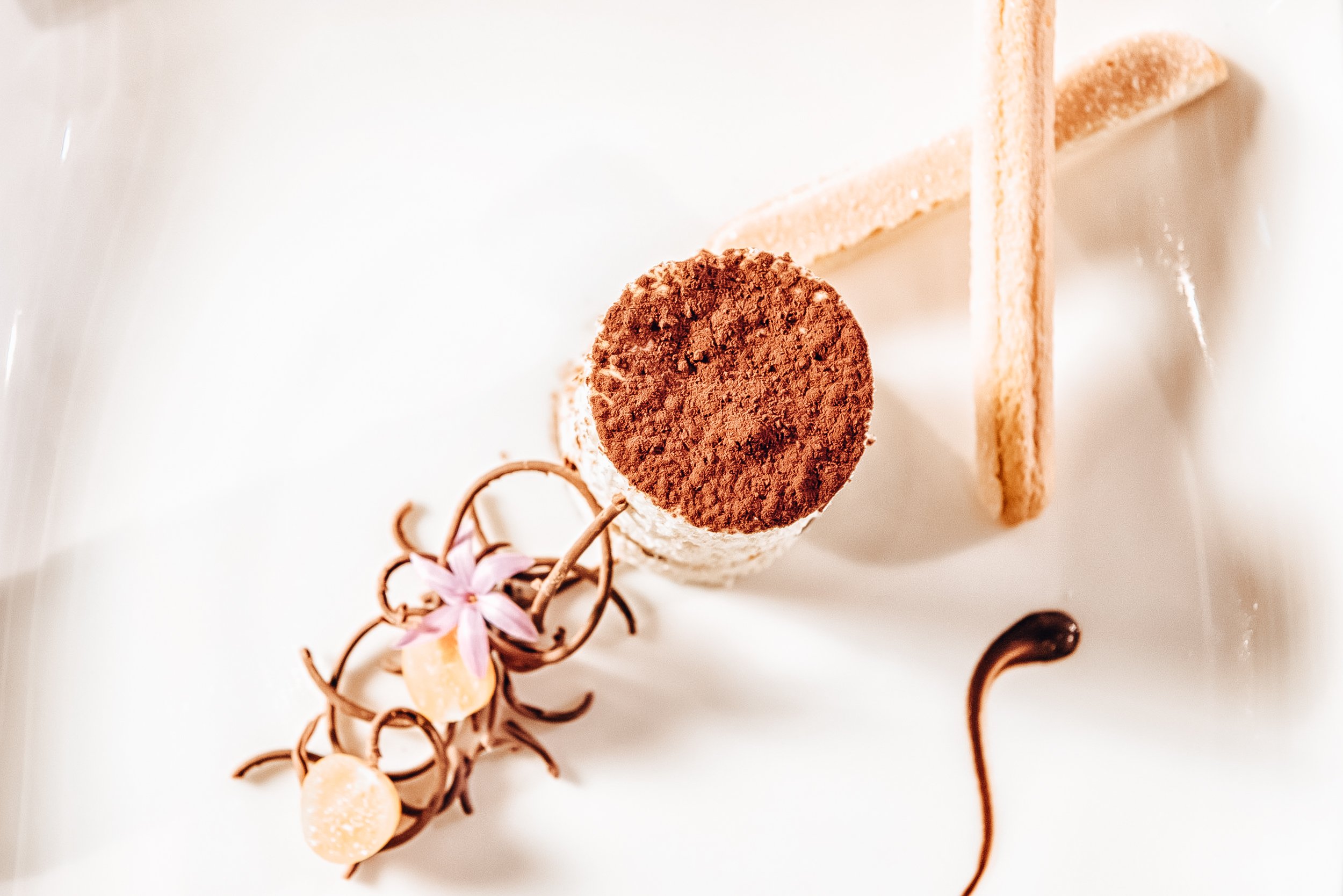 A dessert plate with a chocolate-topped mountain of whipped cream or mousse, chocolate decorations, a pink flower, and crispy wafer sticks