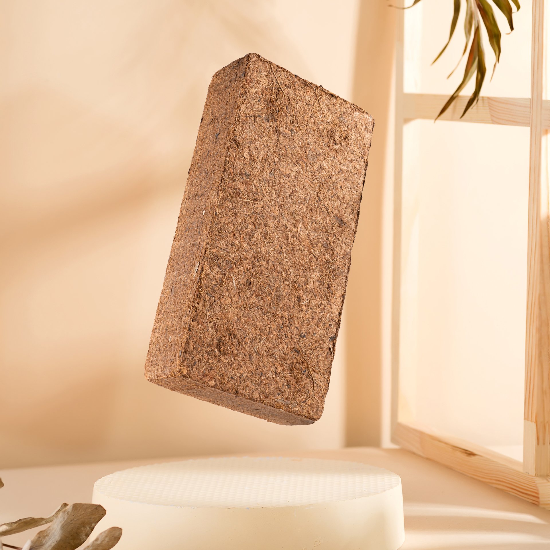 A floating brick with a rough texture in front of a wooden frame with a window and a green plant nearby.