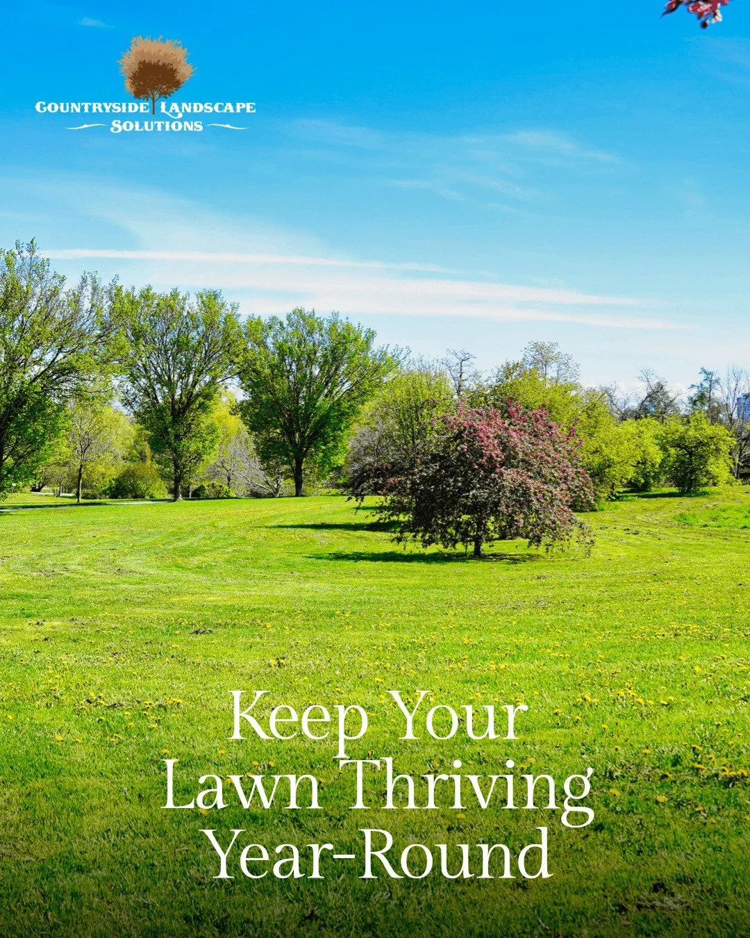 Keep your Southwestern Ontario lawn healthy and sustainable all year round!

Seasonal care makes all the difference:

Spring: Rake debris, aerate soil, and overseed to jumpstart growth.
Summer: Water deeply but less often, mow high to protect roots.
