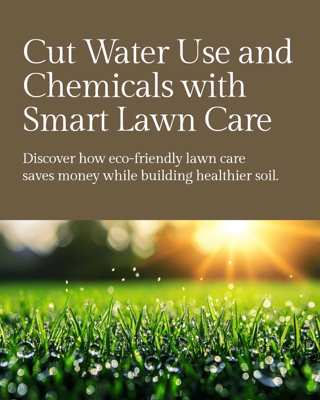 Save money and protect the environment with smart lawn care!

Eco-friendly lawn practices like hydroseeding, natural soil treatments, and overseeding reduce water use, cut chemical needs, and build healthier soil.

Ready to grow a lush, green lawn th