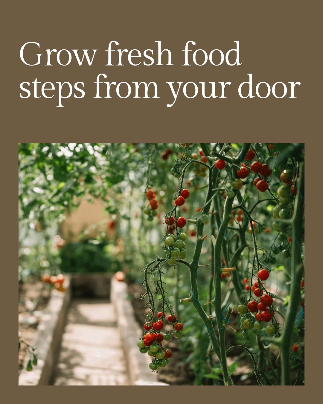 Grow fresh food and beauty in your own backyard with an edible garden!

Imagine harvesting ripe tomatoes, fragrant herbs, and colorful berries just steps from your door&mdash;all while creating a stunning outdoor space that supports local pollinators