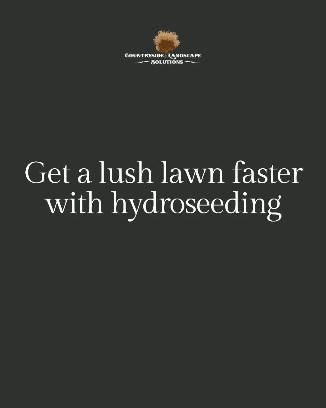 Hydroseeding or traditional seeding&mdash;which is best for your lawn?

Hydroseeding offers faster germination, even coverage, and excellent erosion control, making it perfect for larger or challenging areas. Traditional seeding is budget-friendly an