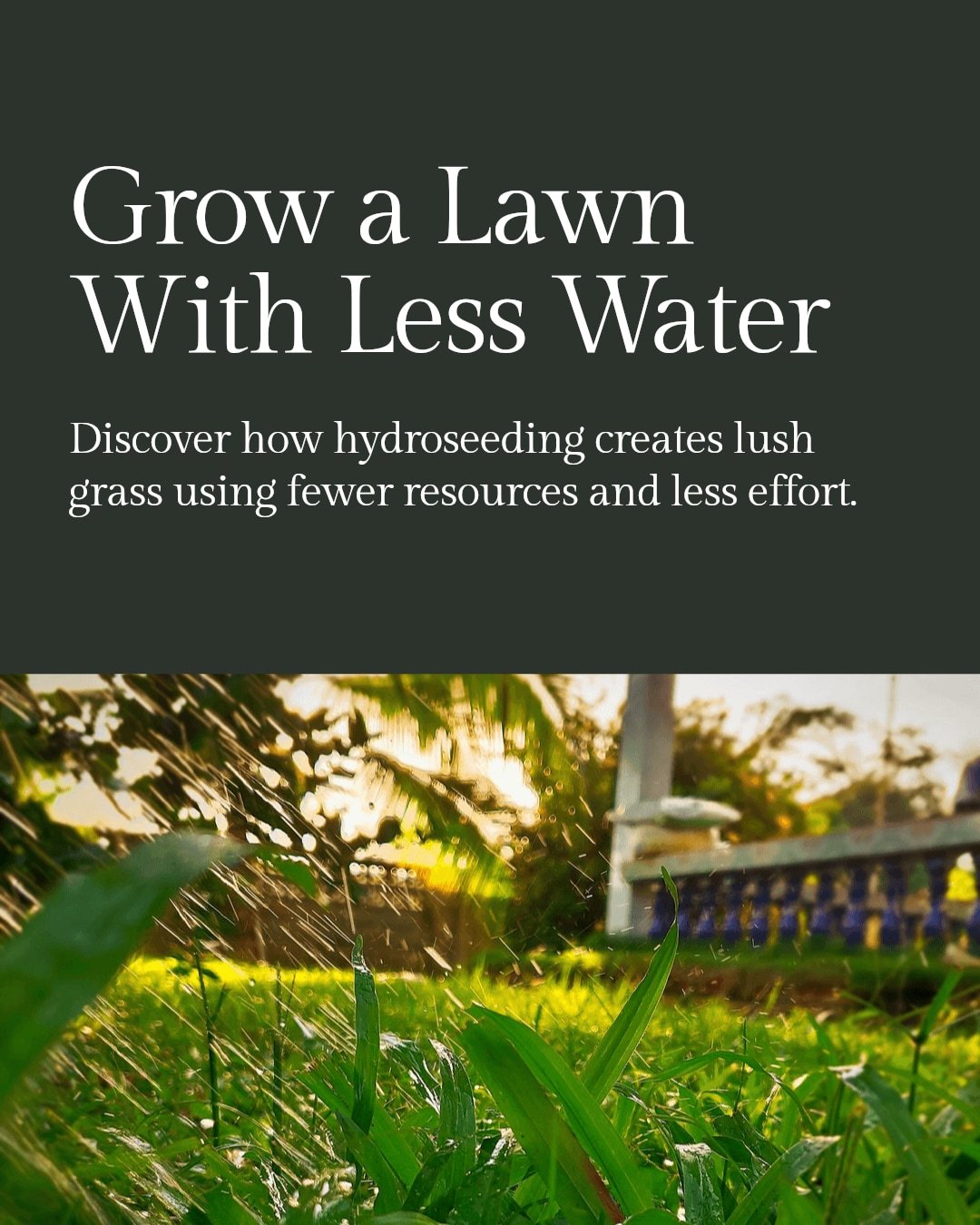 Transform your backyard with hydroseeding&mdash;the eco-friendly way to grow a lush, healthy lawn fast.

Hydroseeding mixes seed, mulch, and nutrients to give your grass the best start while protecting soil and reducing erosion. It's cost-effective, 
