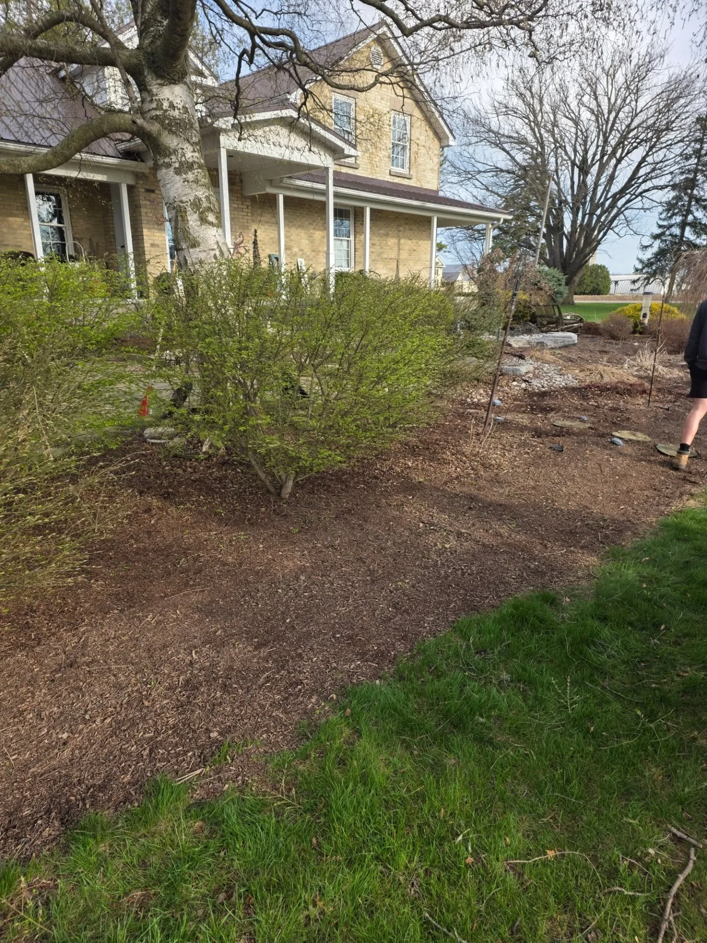 Some before after photos of a garden cleanup, trimming, river rock, black granite and mulch install we completed this week near parkhill. #gardencleanup #mulchinstallation #parkhillontario #blackgranite #riverstone.