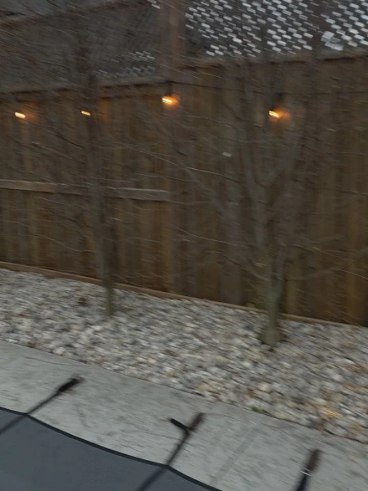 This afternoons project. Some garden cleanup, trimming, pruning and fresh coat of brown mulch at a property in lambeth. #Brownmulch #mulchlambeth #gardencleanup #pruning #trimming