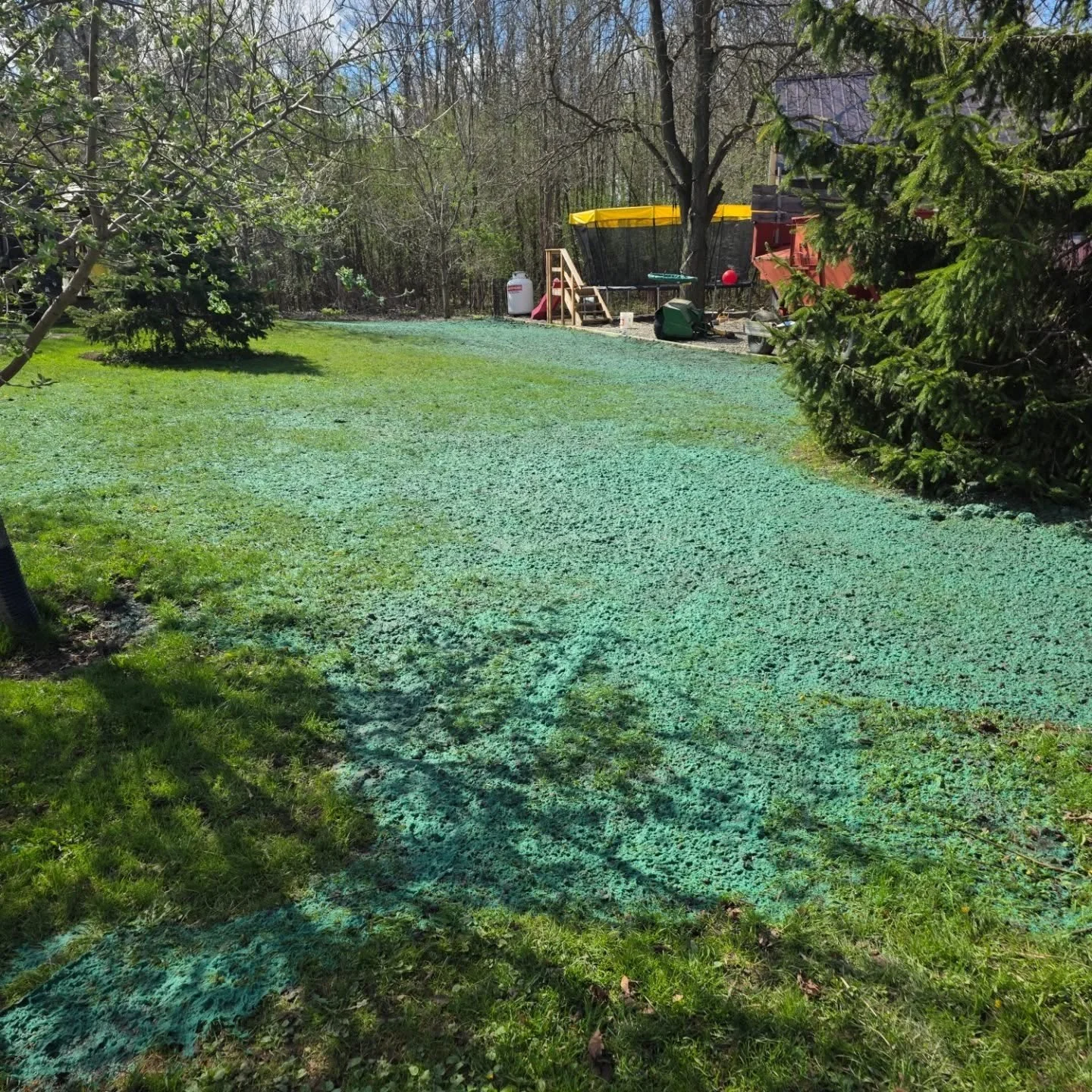 This mornings hydroseeding project near strathroy. #hydroseeding #strathroy #newlawn #lawnrepair