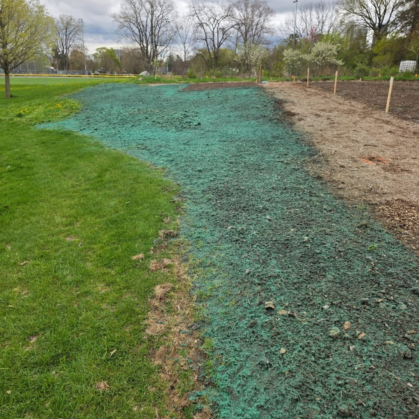 Project 2 of the day at West Lions Park in London for @steeper_services #hydroseeding #hydroseedinglondon #parkhydroseeding #woodfiber