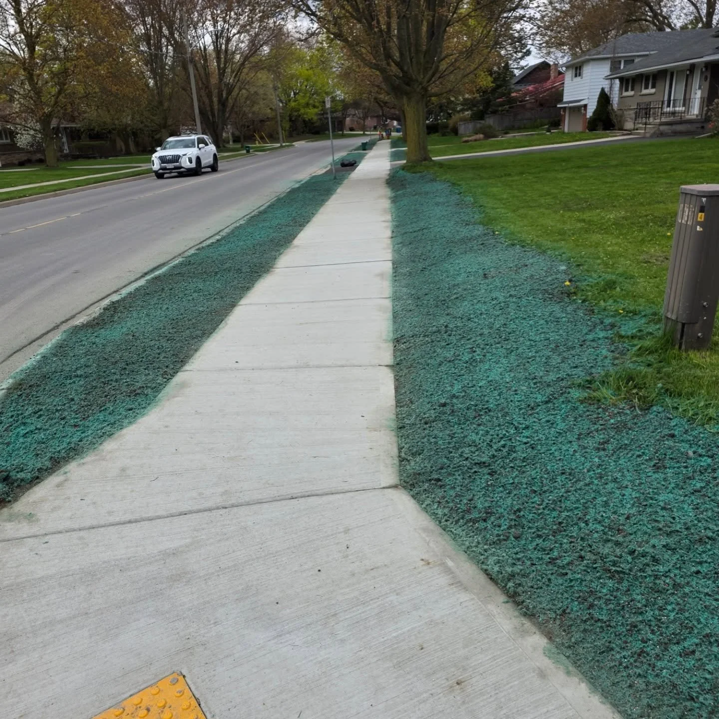 A little hydroseeding for @nicholsonconcrete_stratford  on there city sidewalk project. #hydroseeding #Stratford #Sidewalks
