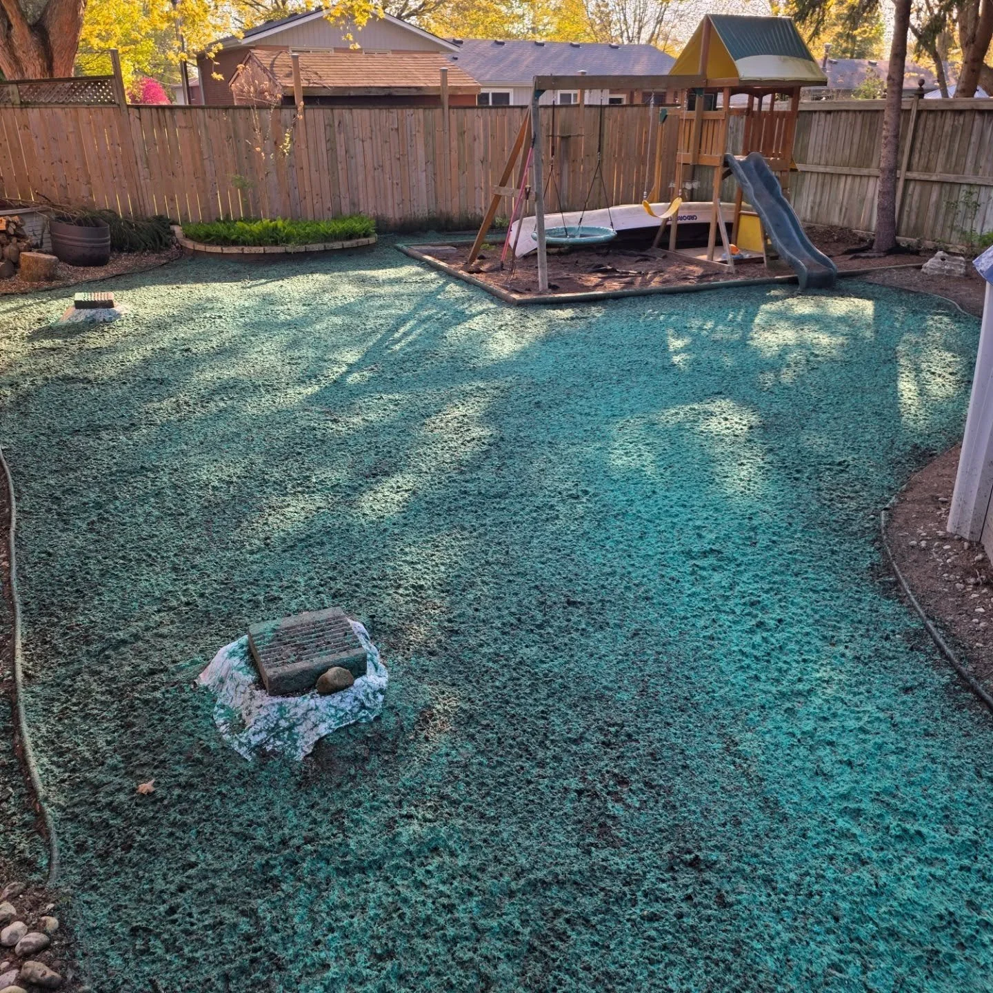 Rounded out the day with a nice little hydroseeding project in strathroy #hydroseeding #woodfiber #fescue #shademix #strathroy