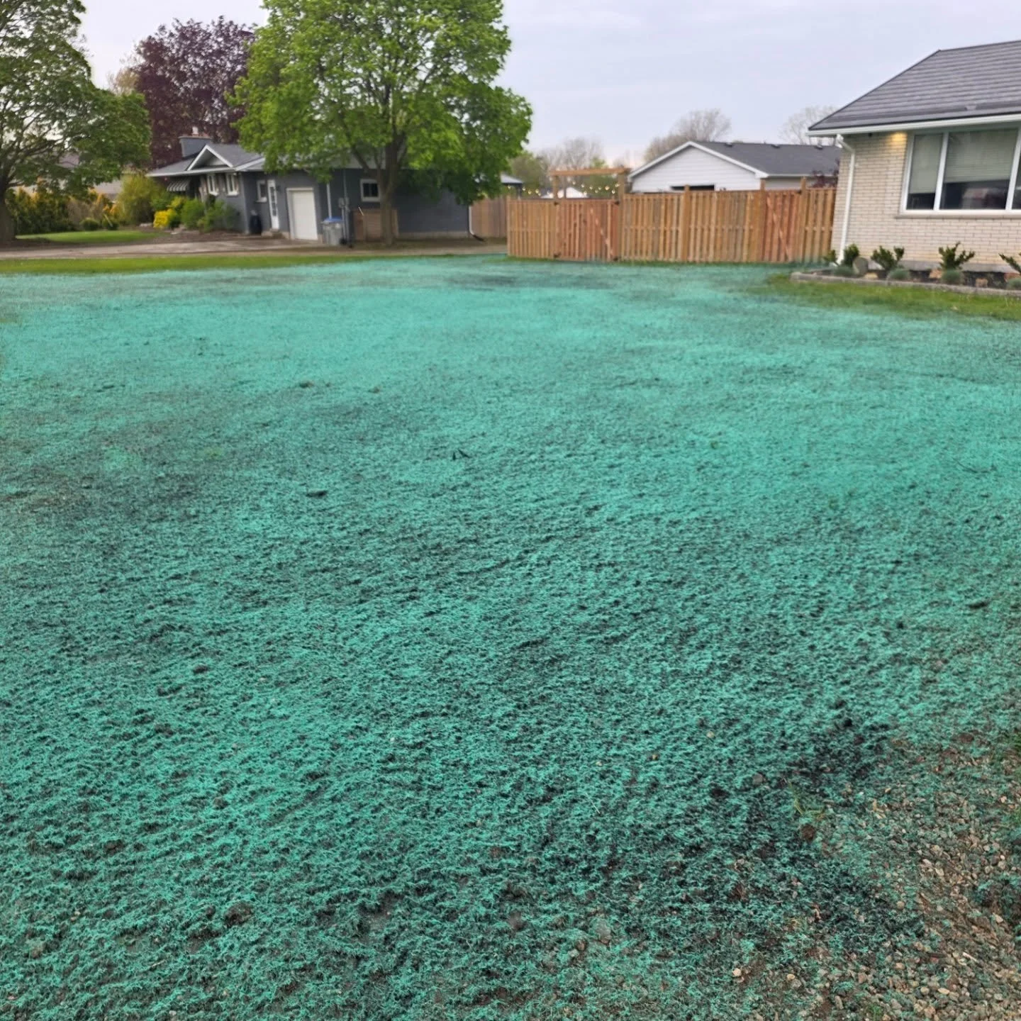 A little hydroseeding in forest this afternoon #hydroseeding #forest #woodfiber #soilprep