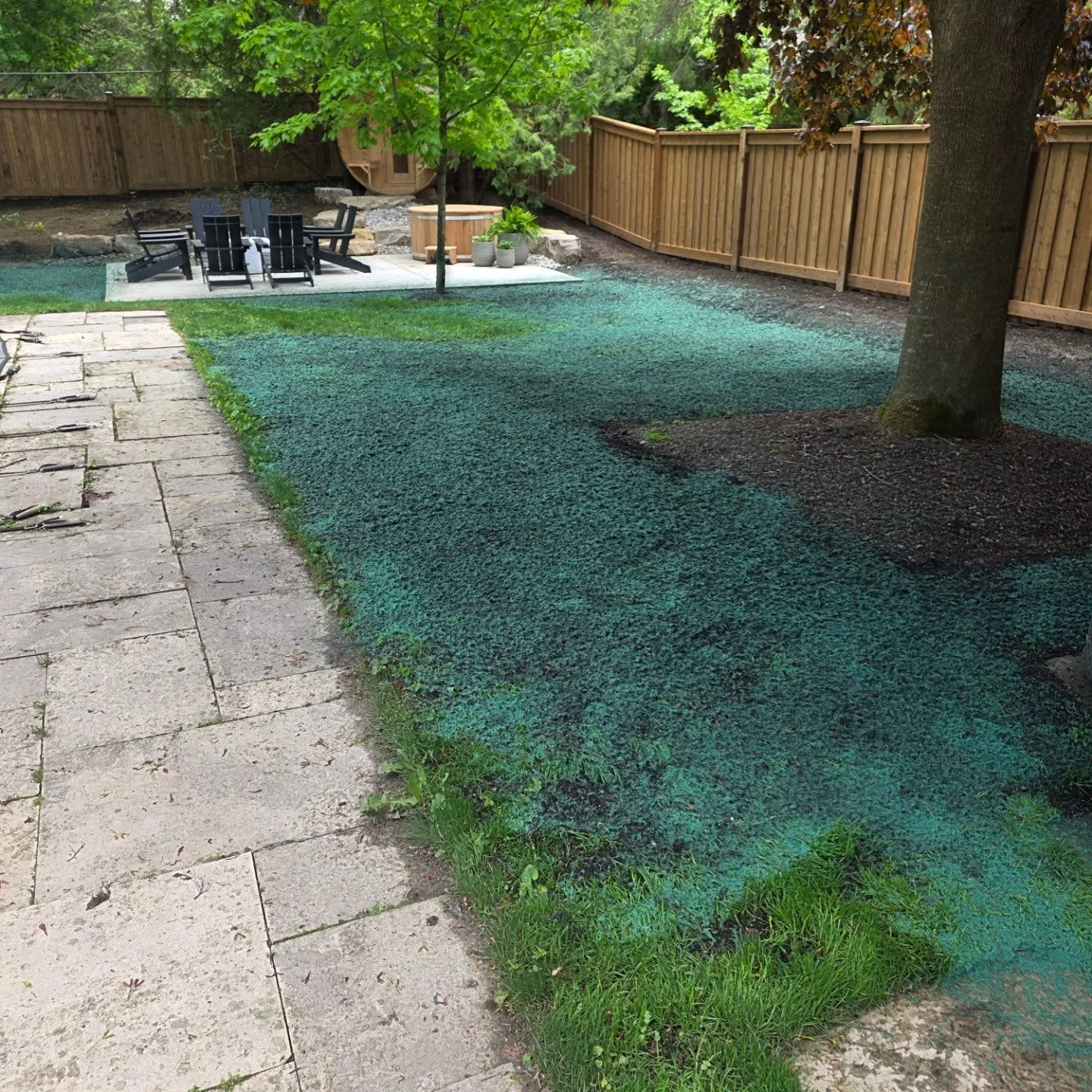 Little hydroseeding job in hunt club in London this morning.  #hydroseeding #londonontario #smalljob