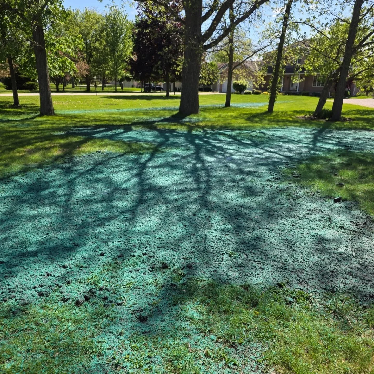 This mornings project was spot spraying several spots around this property in petrolia with flexterra #hydroseeding #hydroseedingpetrolia #flexterra.