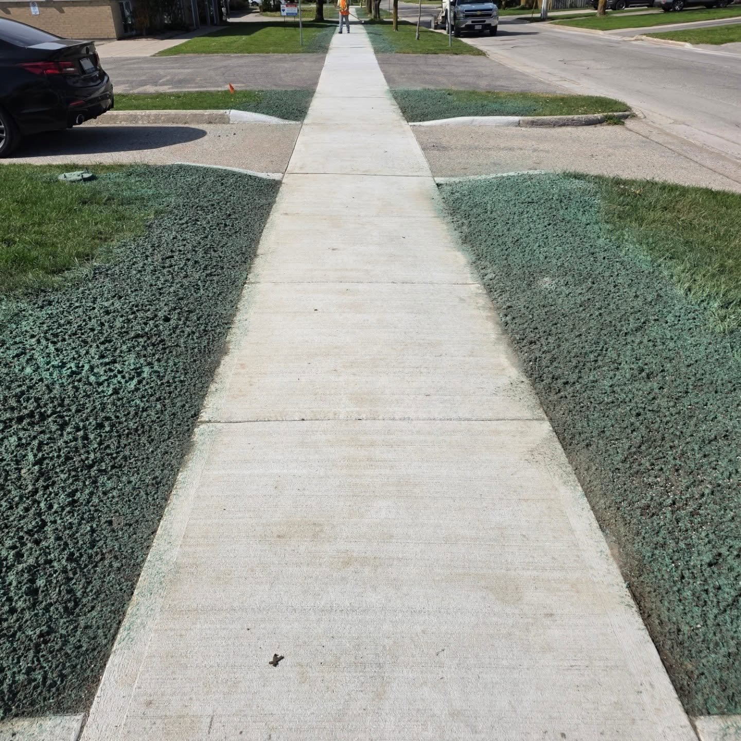 This afternoons project was some hydroseeding around new sidewalks for @nicholsonconcrete_stratford  #hydroseeding #hydroseedingstratford #hydroseedingnewsidewalks #municipalhydroseeding.