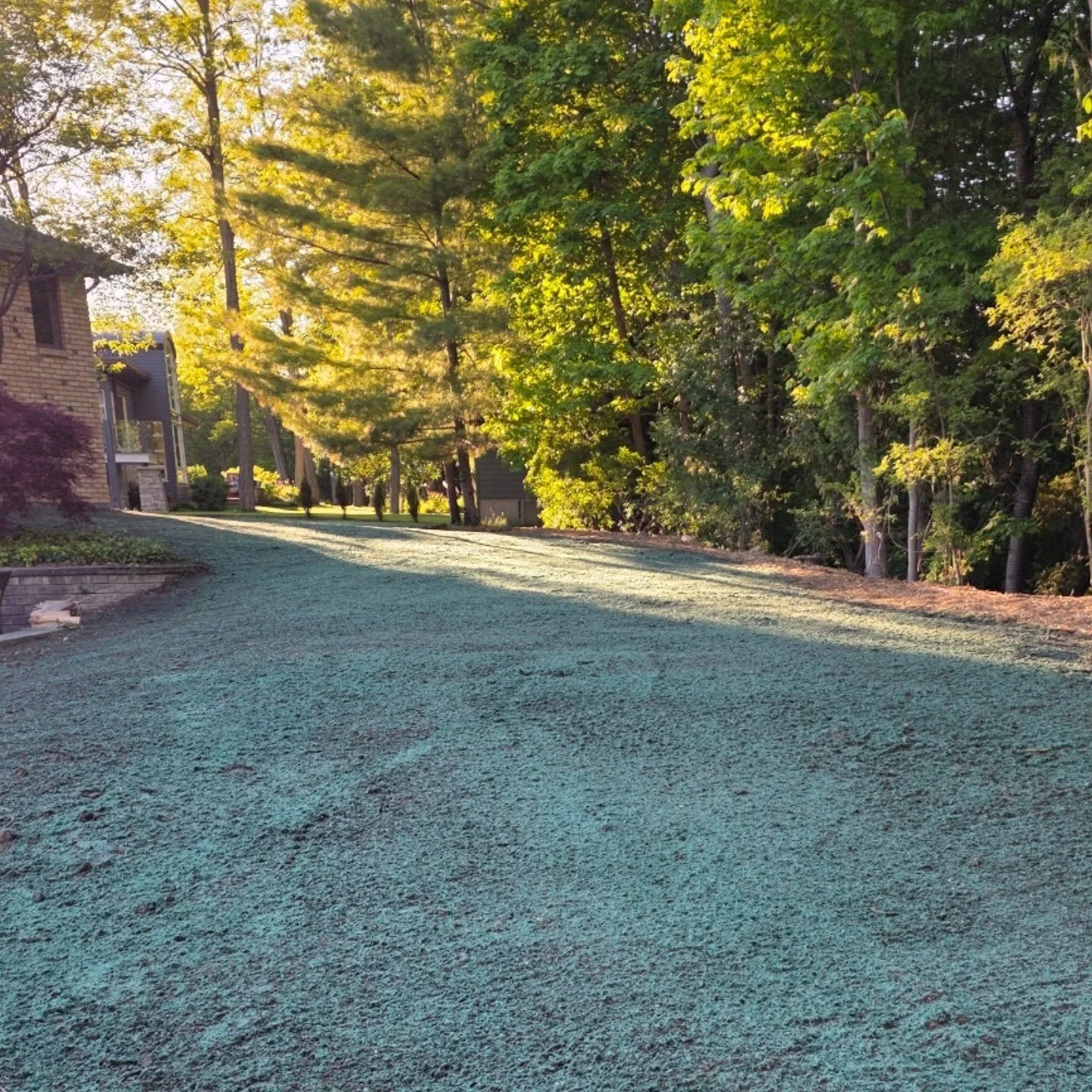 This evenings project was a hydroseeding project in coldstream. #hydroseeding #coldstream #woodfiber