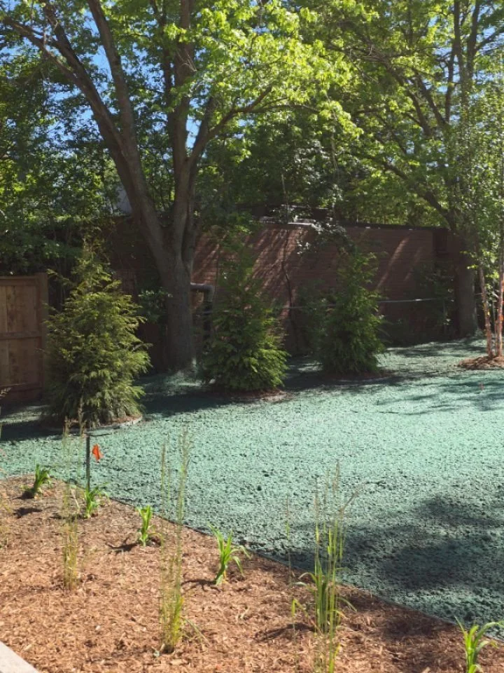 A little backyard hydroseeding today for @countrysidelandscapeaylmer in London to wrap up a large project they completed at this residence. #soilprep #hydroseeding #london #grassinstallation