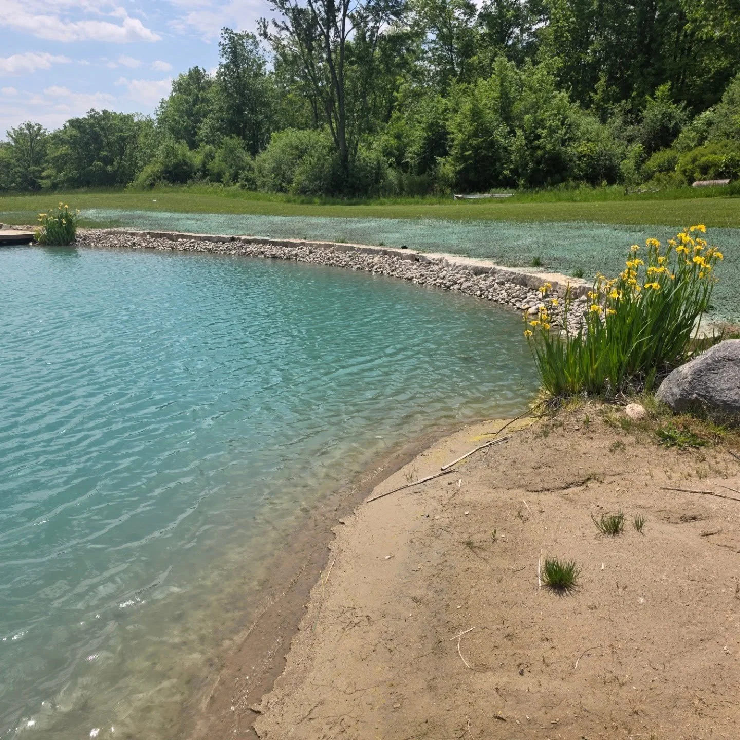 A little hydroseeding around this beautiful pond to round out our friday. #hydroseeding #kerwood #alvinston #growgrass