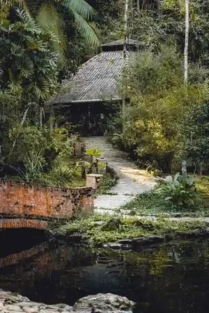 Brazilian Cleansing Retreat