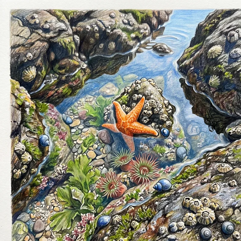 Sea Drawing Ideas