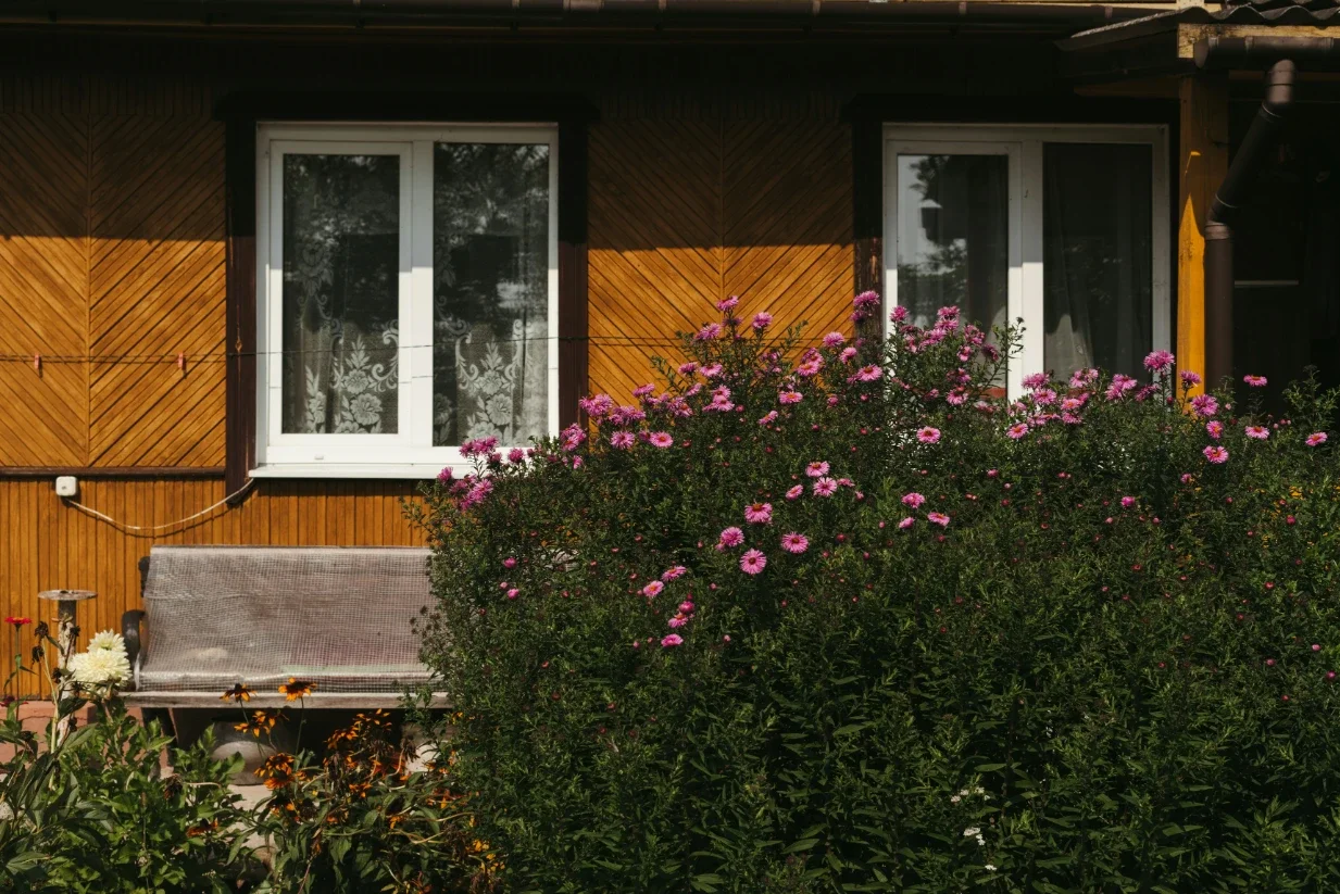 How Energy Efficient Windows and Doors Improve Everyday Living
