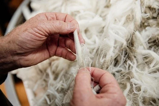 From Farm to Fashion: Why Transparency Starts at the Source