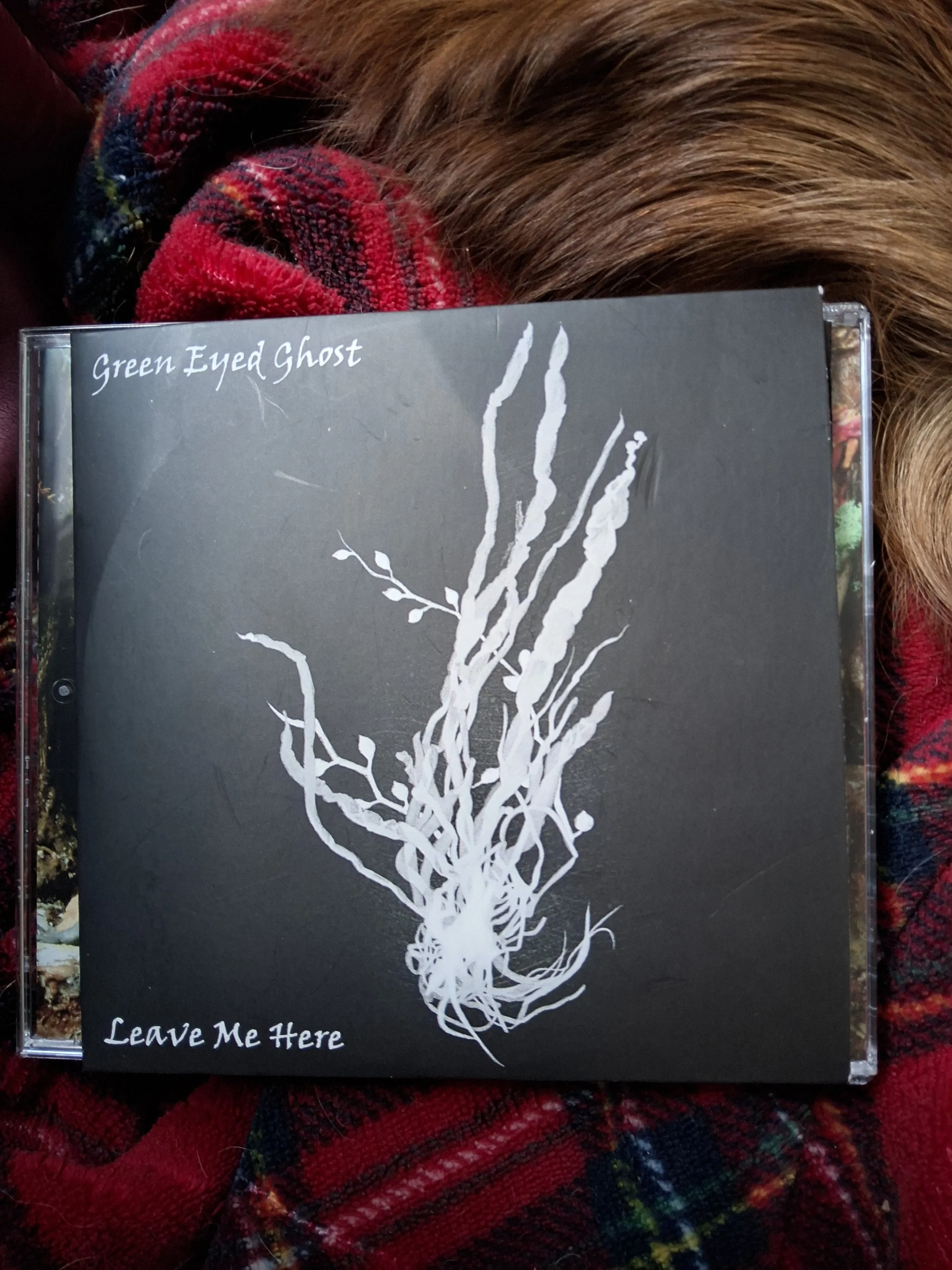Green Eyed Ghost - Leave Me Here - Progressive Voyages Review 
