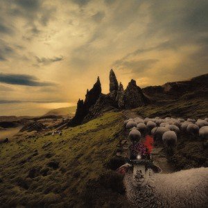 Franck Carducci - Sheeple Progressive  Voyages Review. 