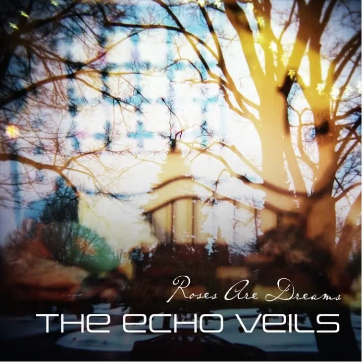 The Echo Veils - Roses Are Dreams- Progressive Voyages Review 