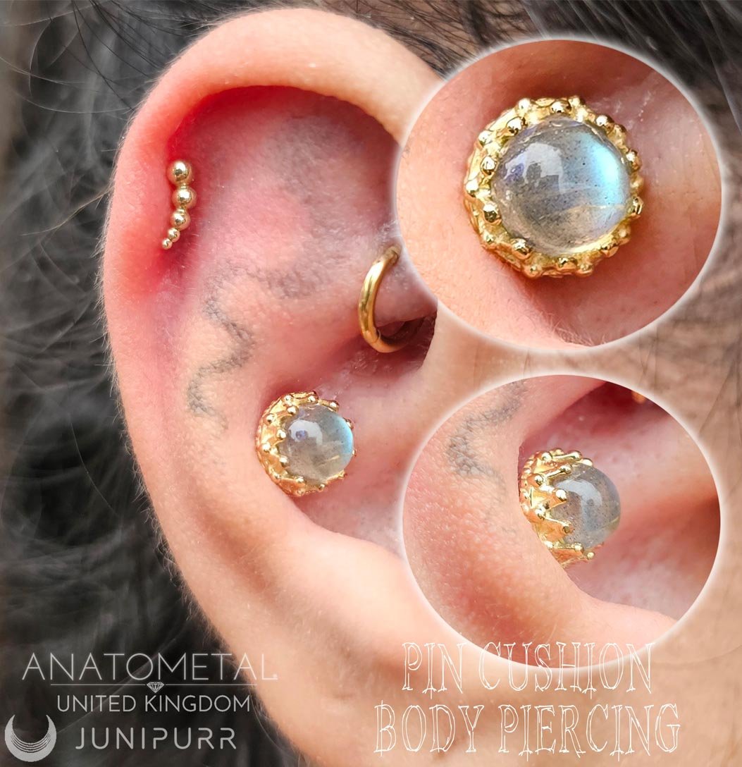 Close-up of a person's ear with multiple piercings, including a gold cartilage piercing, a small gold hoop in the earlobe, and two engraved gemstone body piercings with gold accents, with text indicating it is an advertisement for Anatomical jewelry and pin cushion body piercing services.