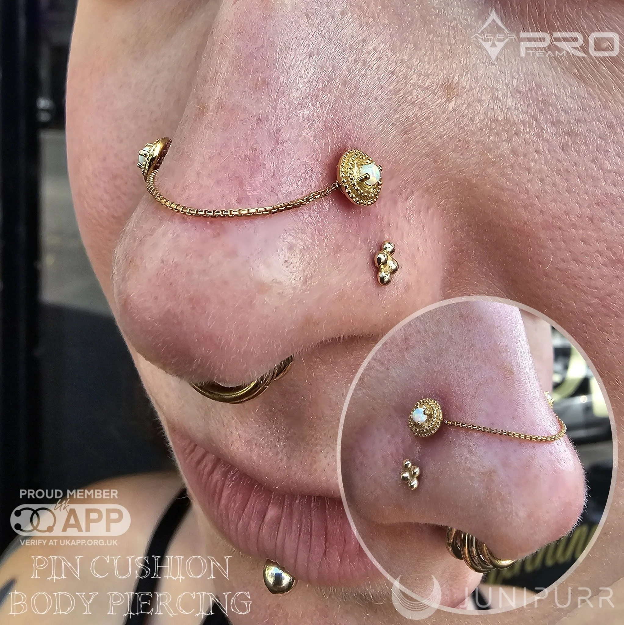 Close-up of a person's face adorned with multiple gold nose and face jewellery, with blurry text overlay related to body piercing and cosmetic procedures.