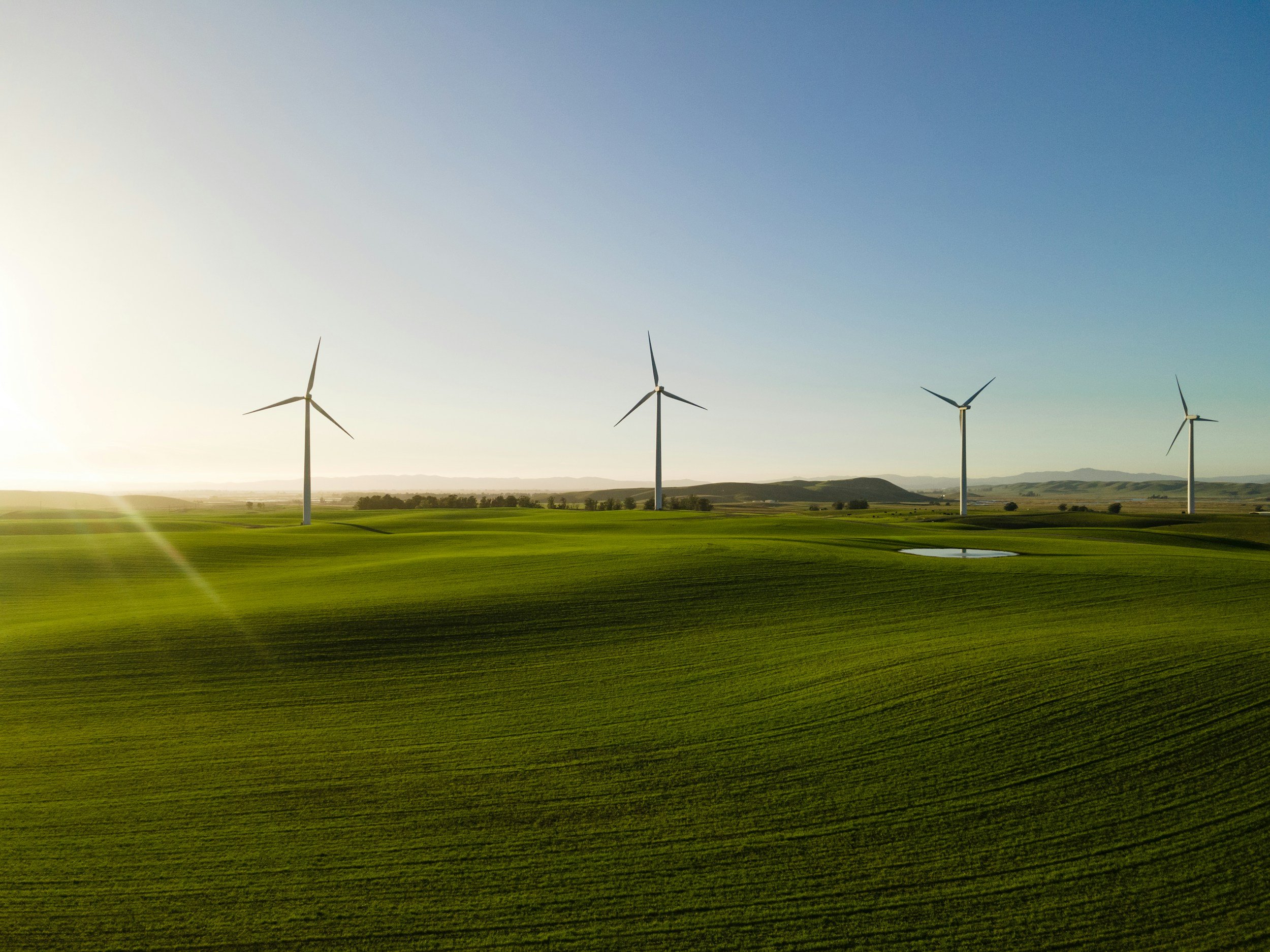 What Is Battery Energy Storage (BESS) and Why Does Your Business Need One?
