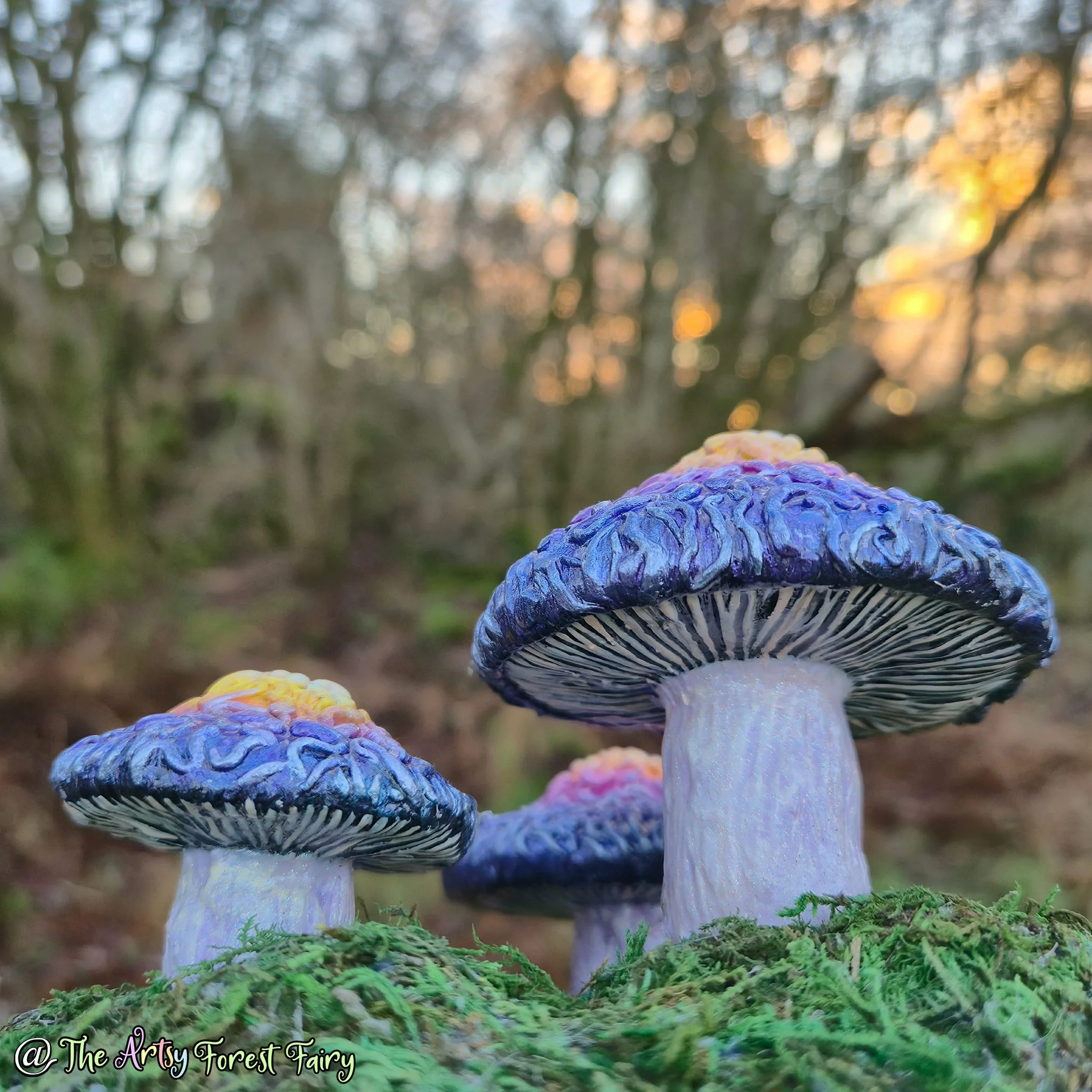 134d8d50-6e87-4846-b809-32a40f750dd2 copy.jpg