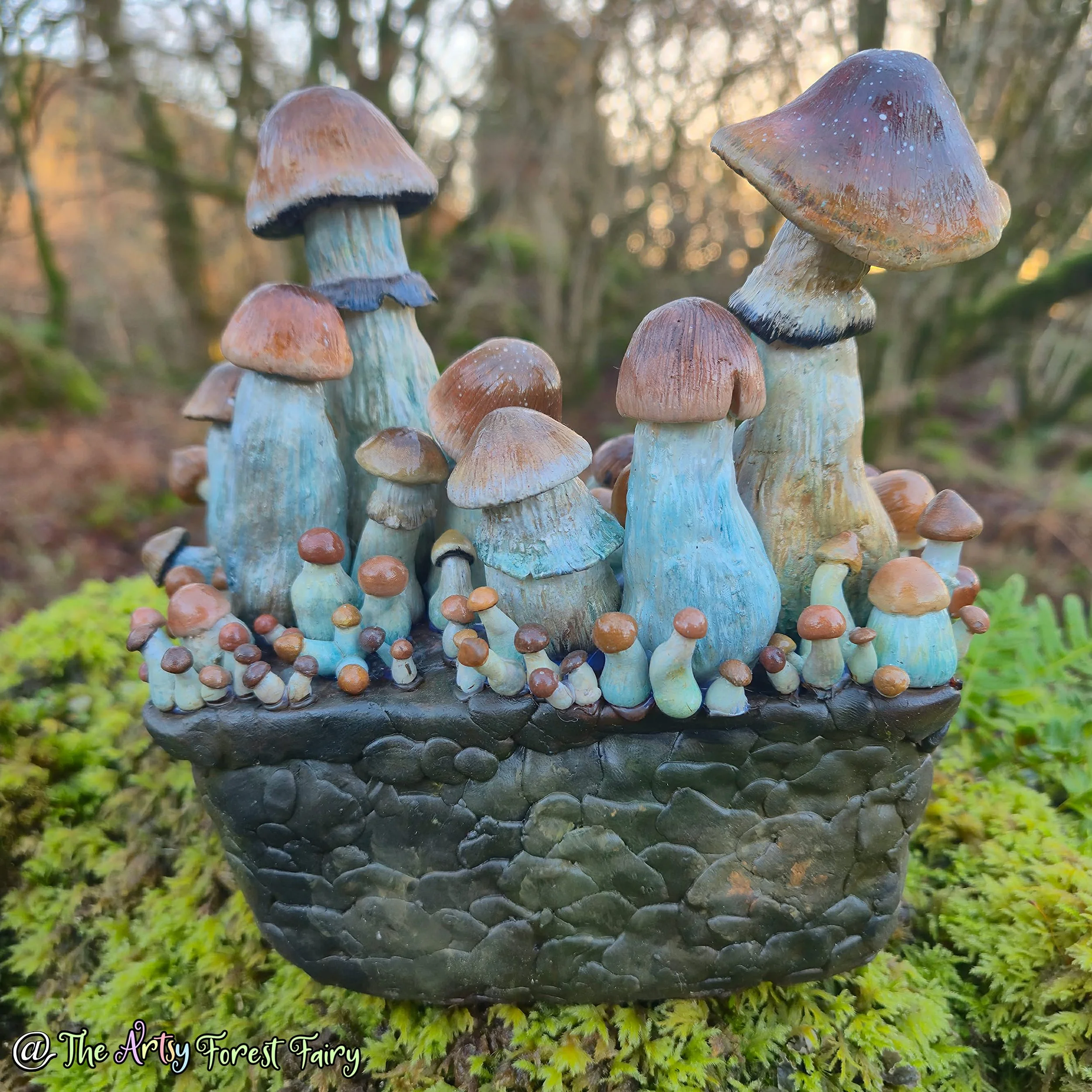 cc56f340-4385-40c9-a9d2-aa256d8ab7bb copy.jpg