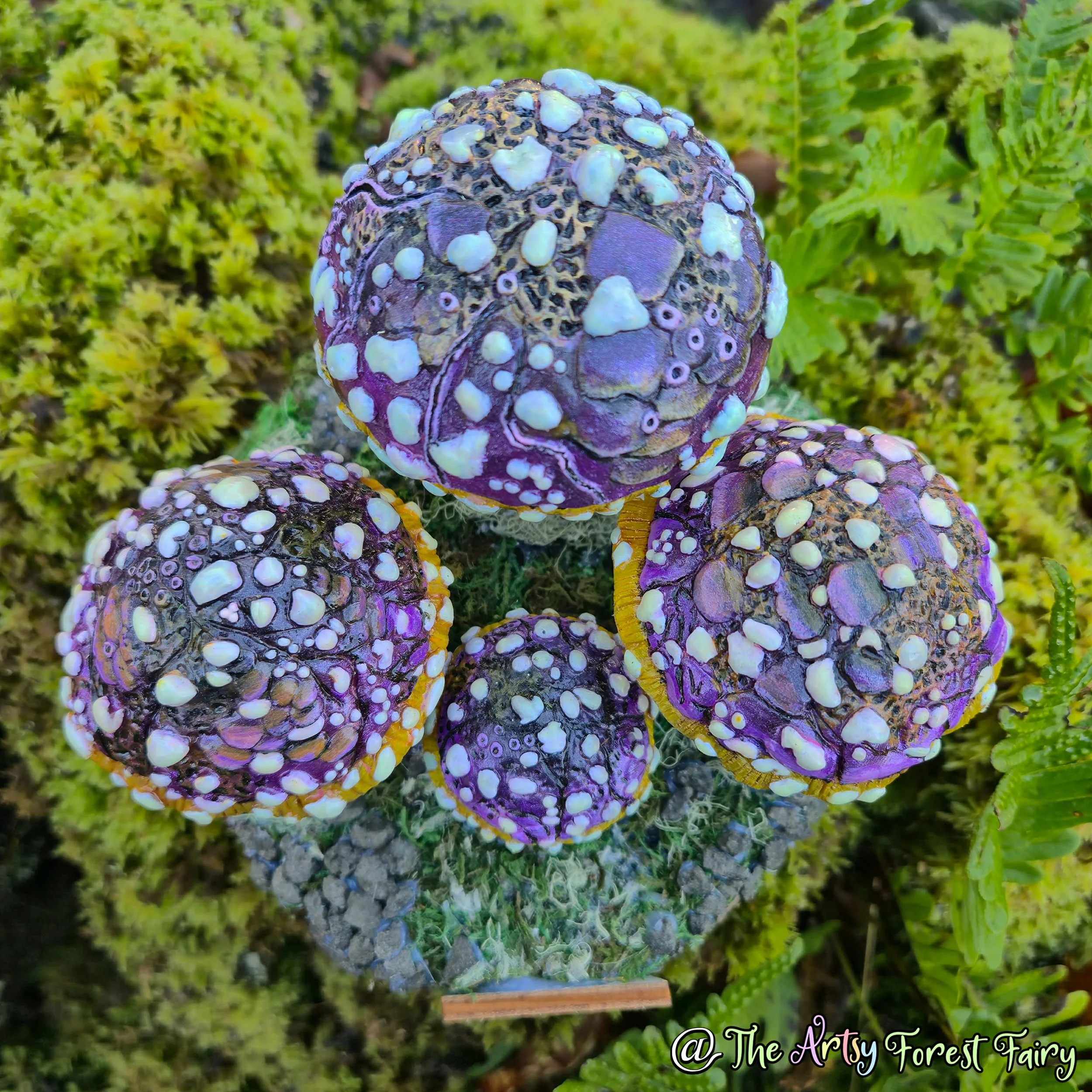 a1d01032-dad0-42c9-8fa9-88cb5adddb6e copy.jpg