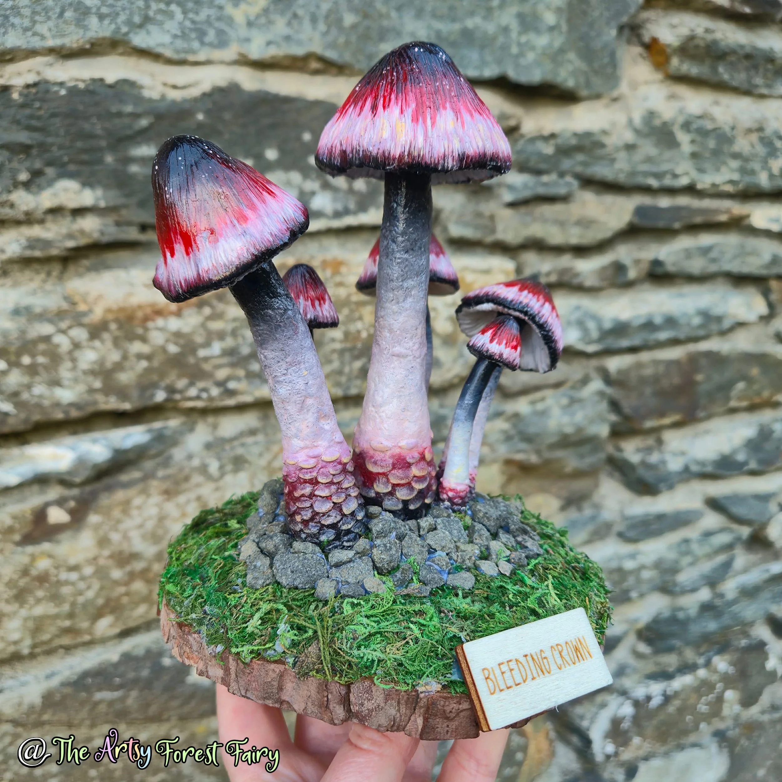 461dccf6-c56b-46df-9b28-8ab1de111ec7 copy.jpg