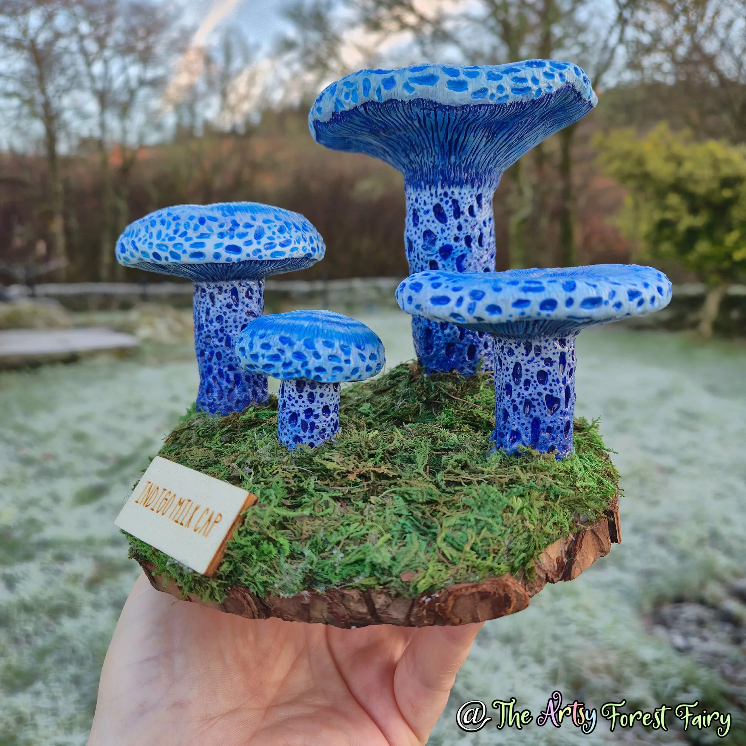 8ace2ba2-95df-4245-8306-4ee80a624ba3 copy.jpg