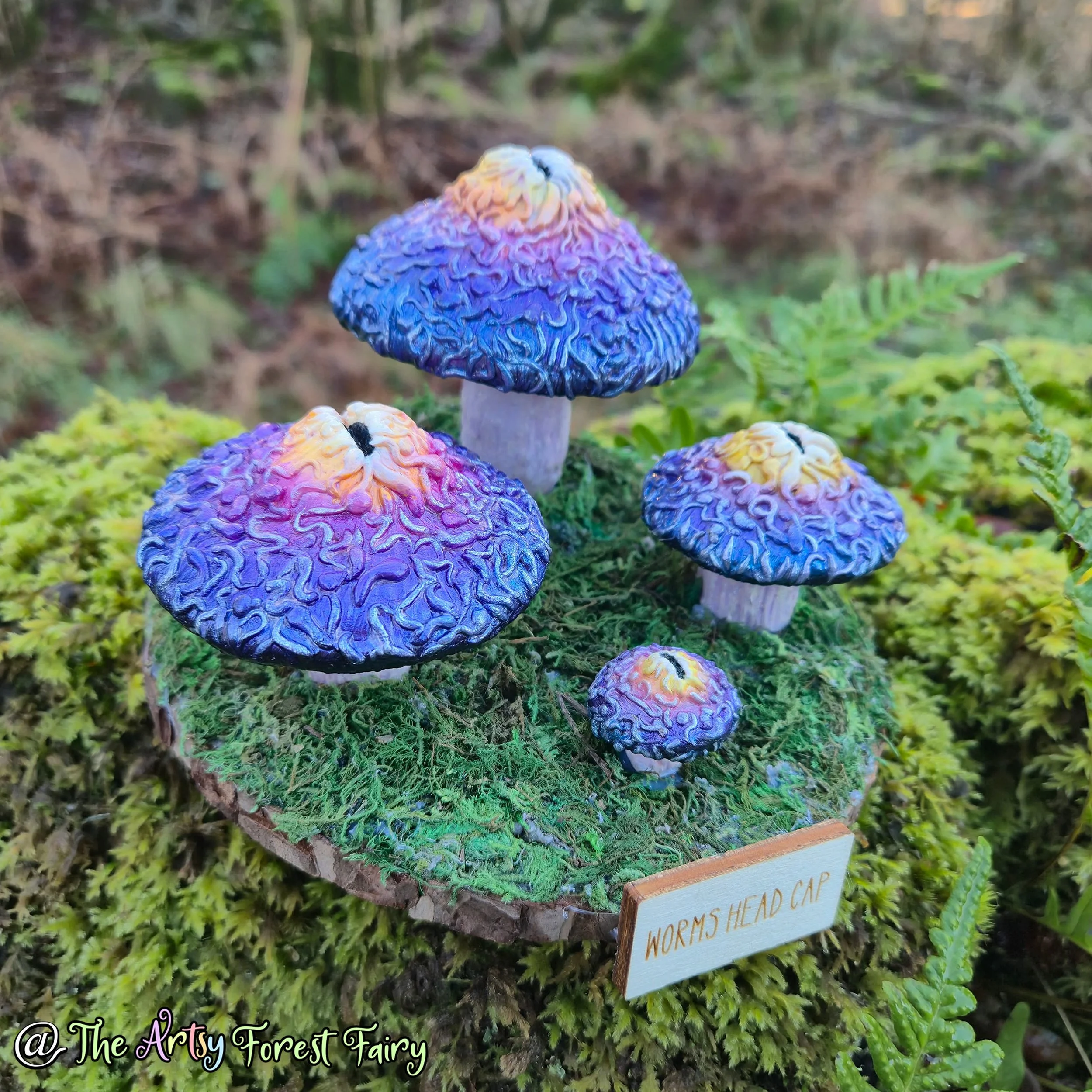 06b9fe31-f623-4e9e-a040-ffb2944f97c7 (1) copy.jpg