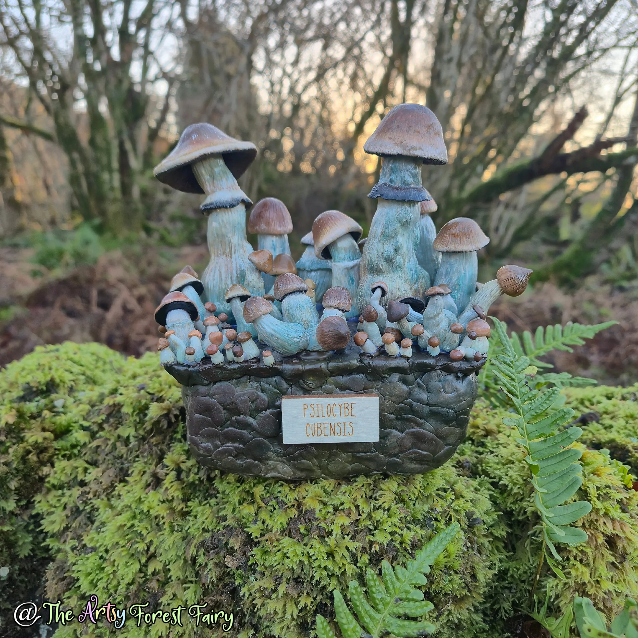 9e2d8ffe-2376-4cb7-9e39-673d8eb98112 copy.jpg