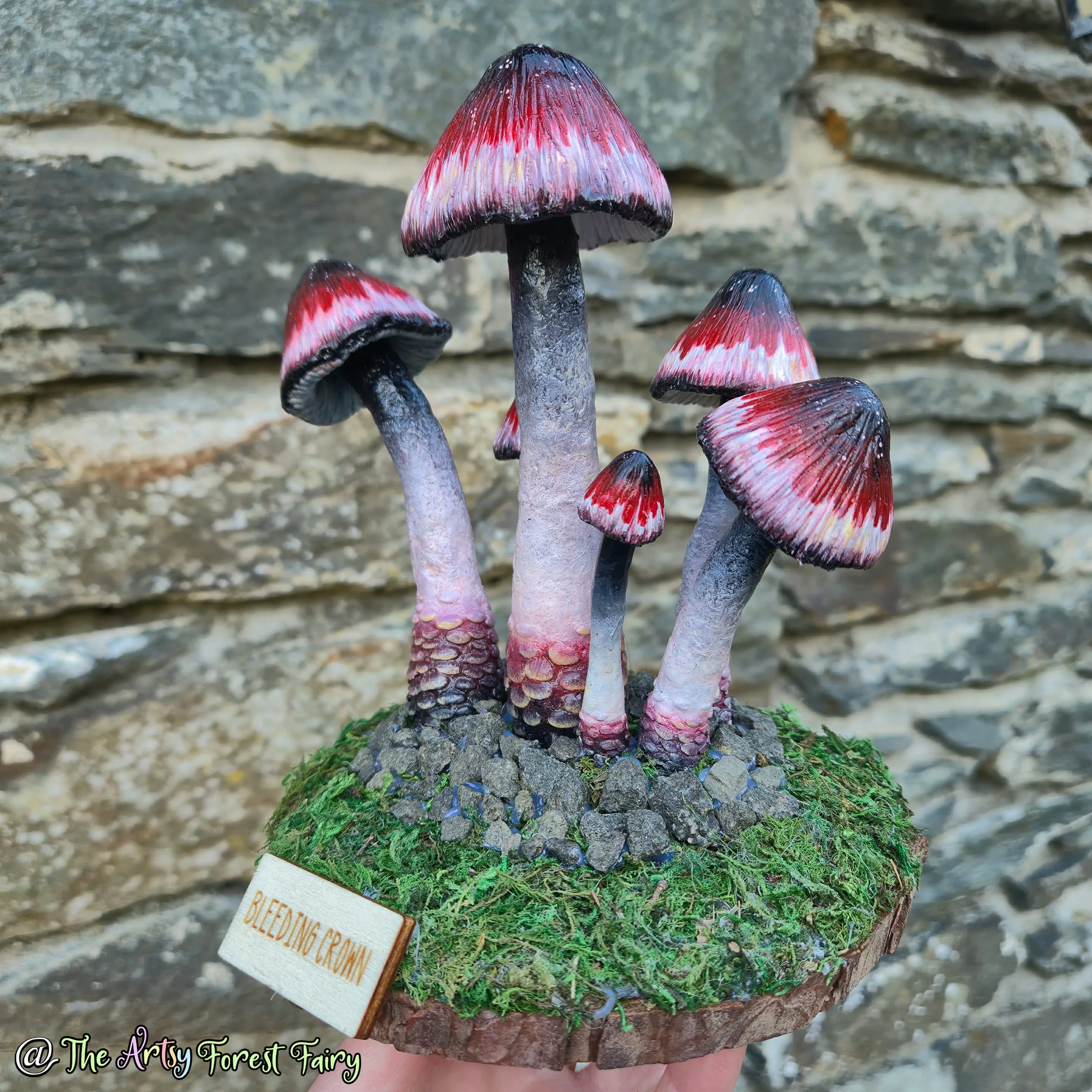 8a8c9afe-1eaa-447d-b925-e82eef3604bf copy.jpg