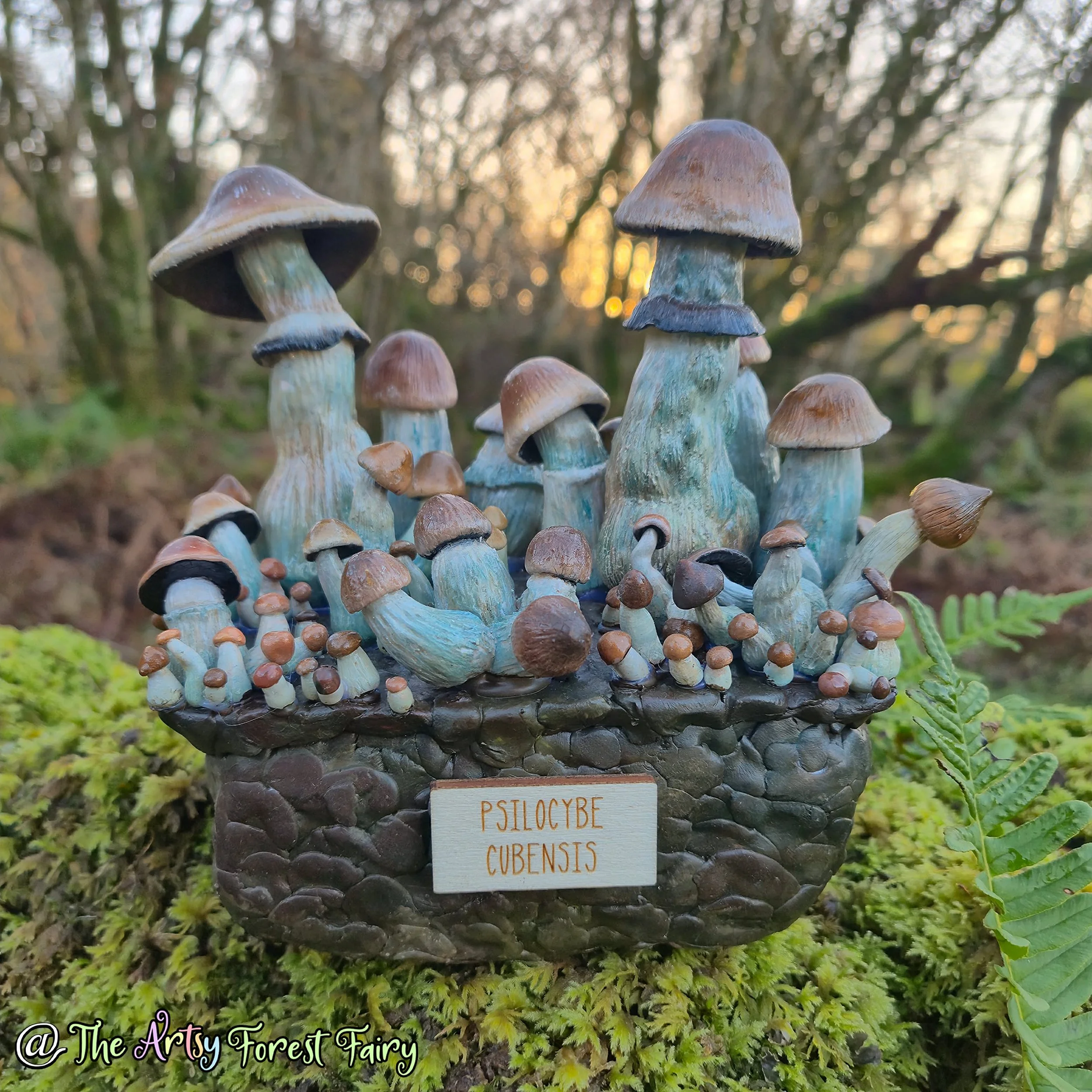 Psilocybe Cubensis Mushrooms Penis Envy Grow bag Sculpture Realistic Art