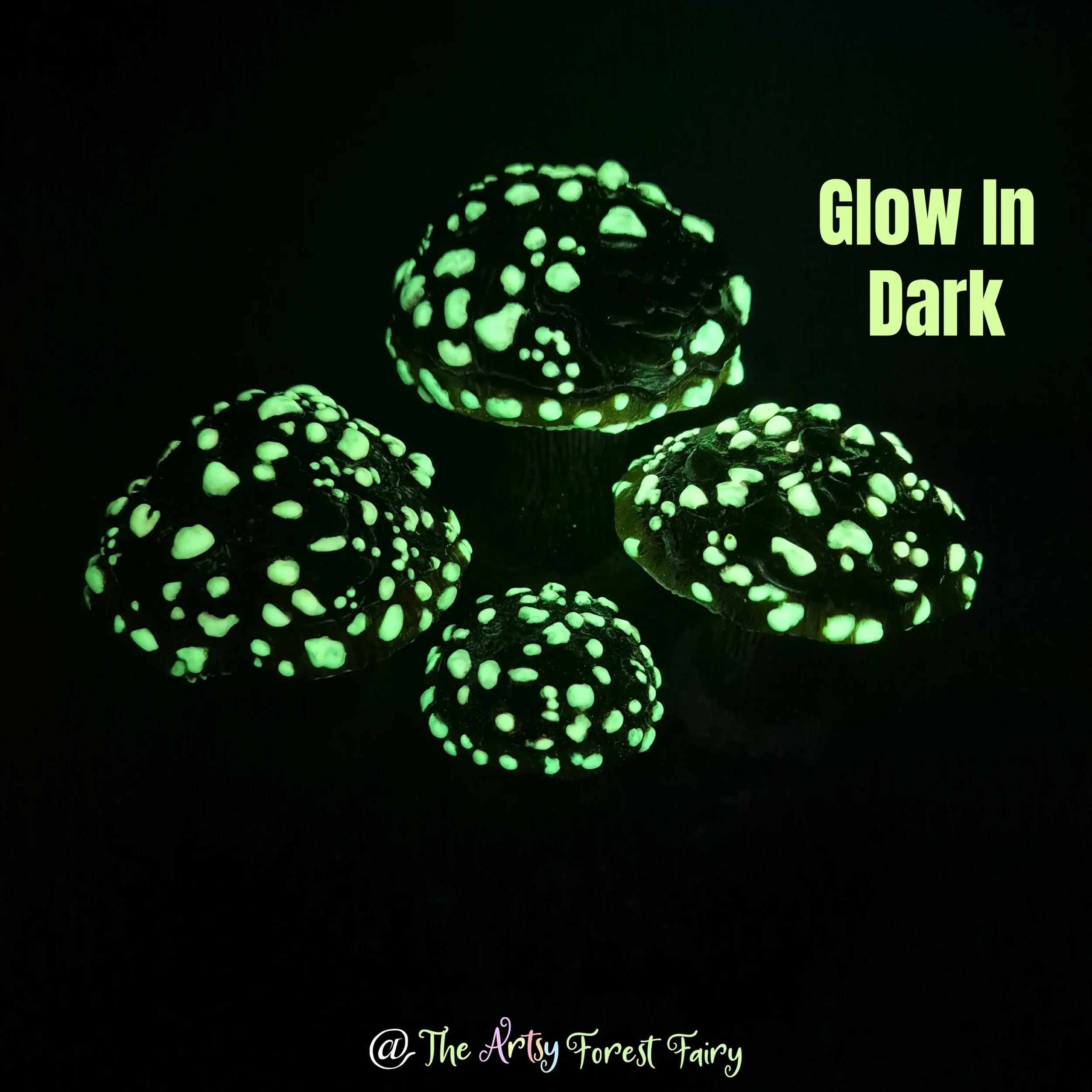 a21f11f4-ee4b-421e-a763-2fbb13242200 copy 2.jpg