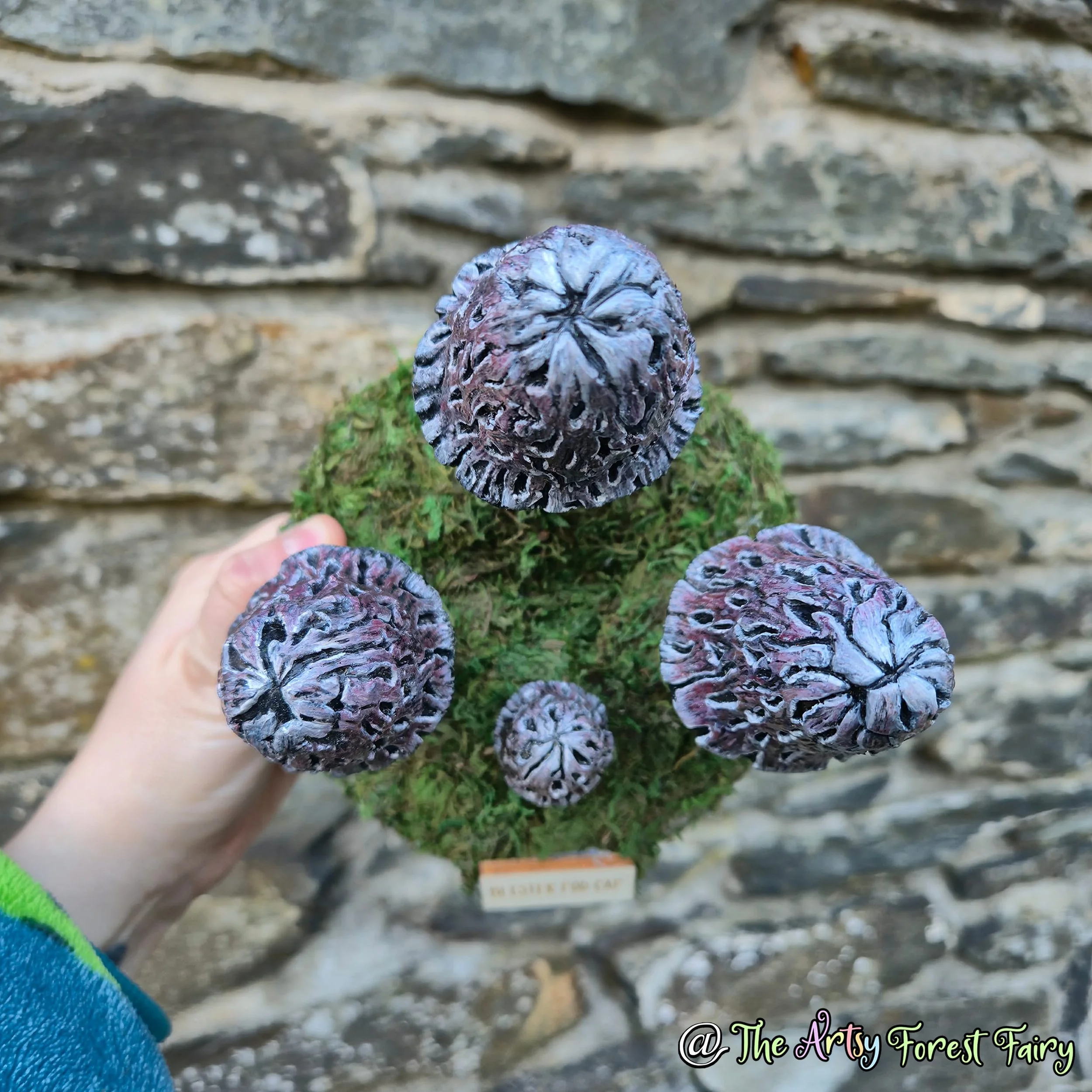 c1926bca-e044-48e6-b8b6-ad2f592ea96f copy.jpg