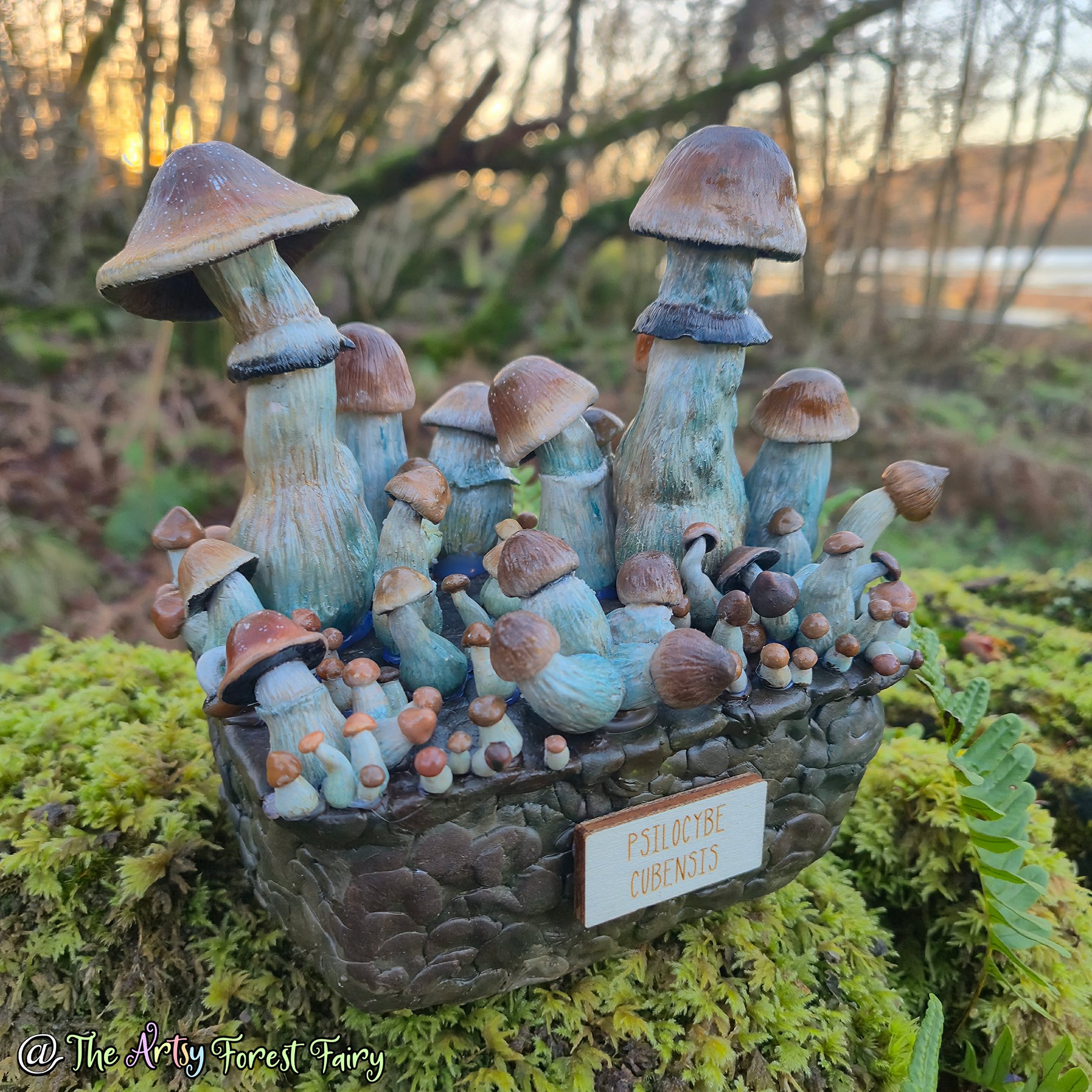 7a09d280-281e-48a3-9d95-6a4c7e312870 copy.jpg