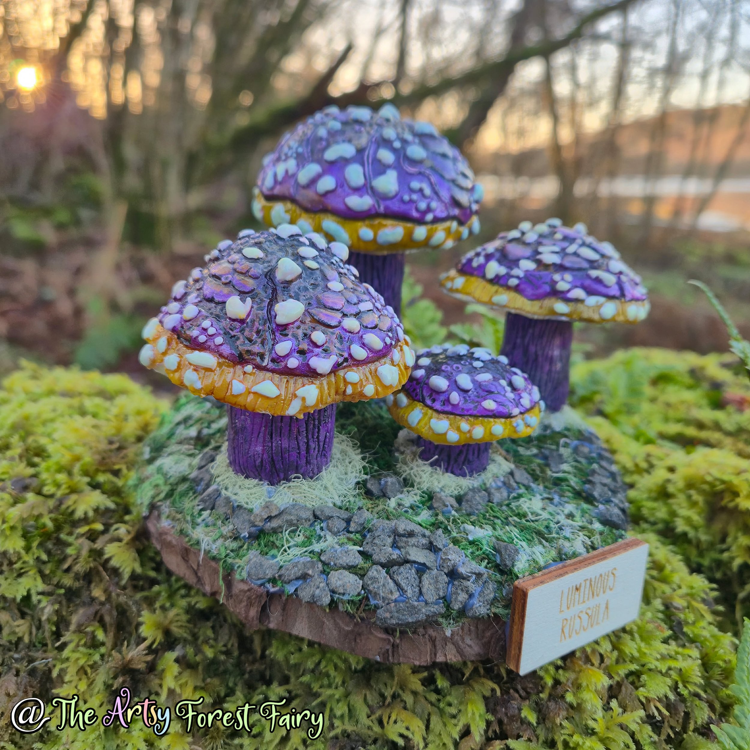 dc44ab28-1e6f-4ce0-9365-ec0c994232e2 copy.jpg