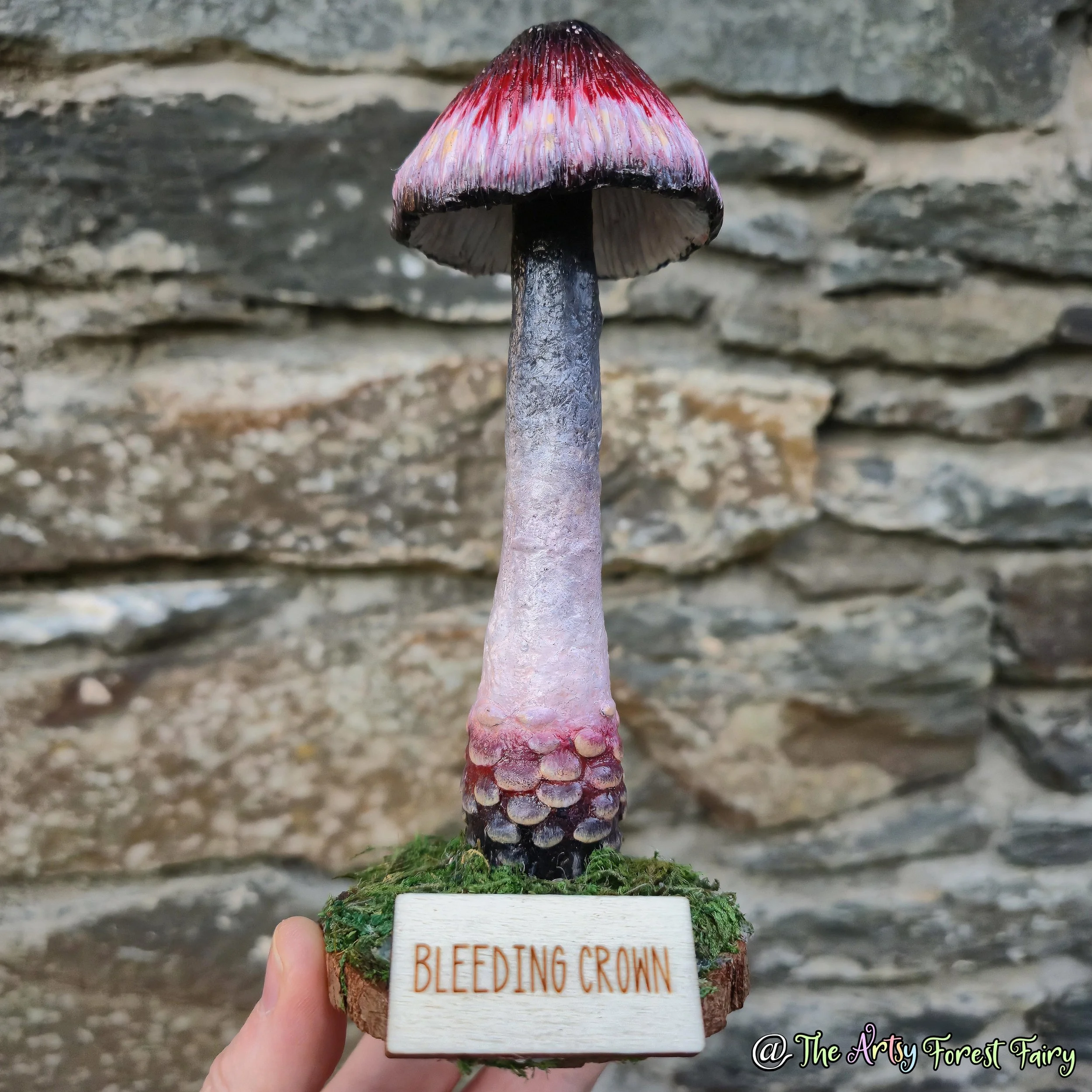 20260104_155920 copy.jpg