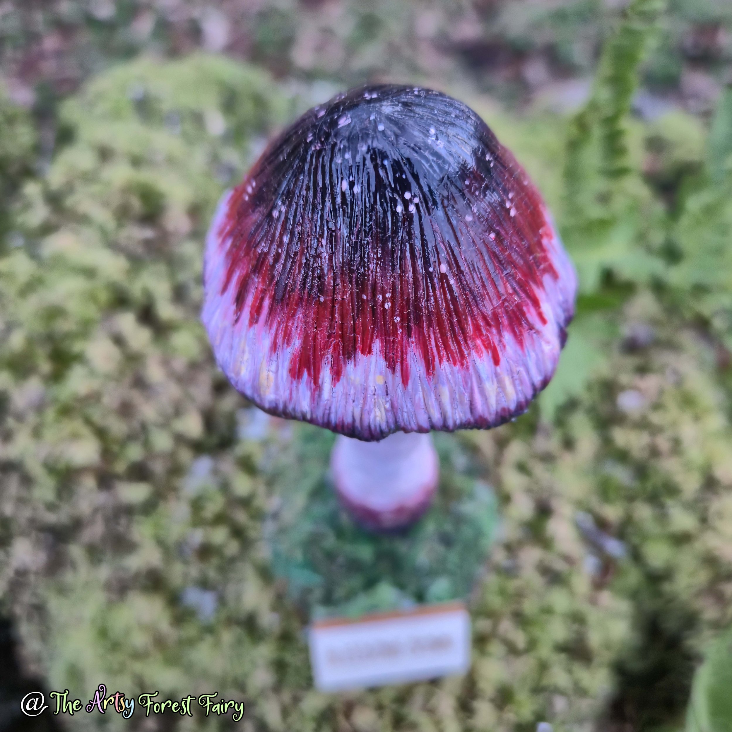 20260104_155246 copy.jpg