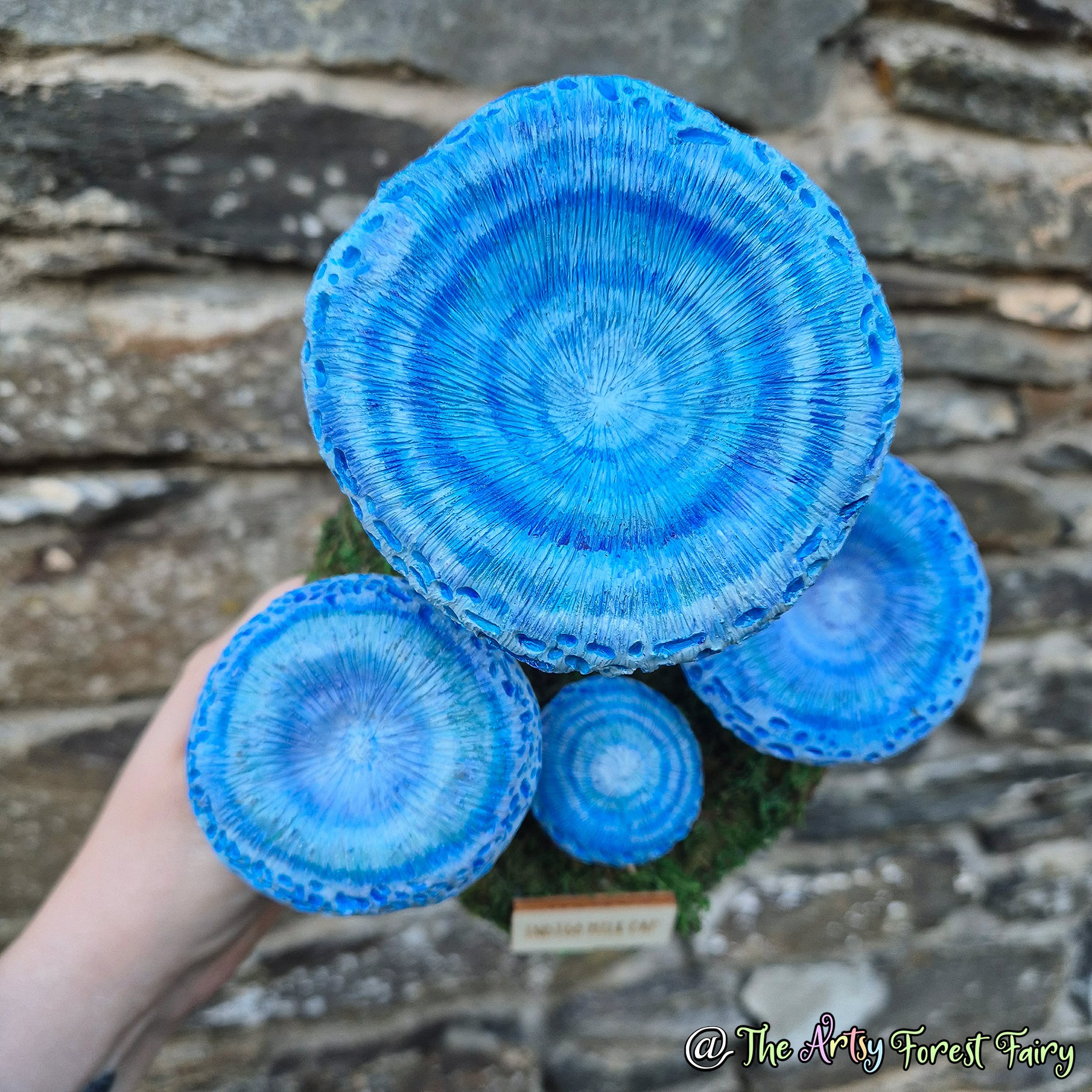 e1b53e25-84ba-429f-9d4f-a58665d146f9 copy.jpg