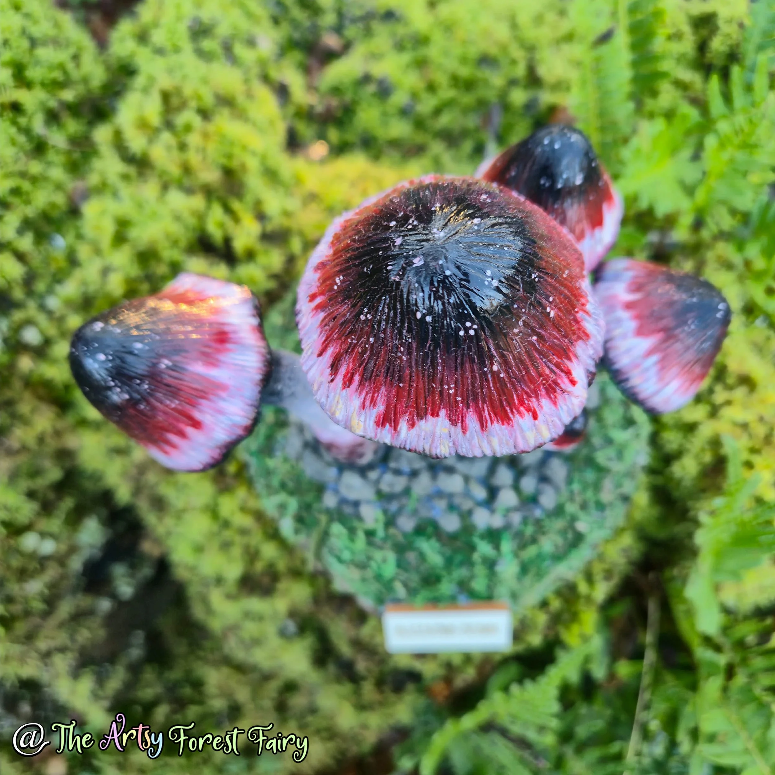 4668c13d-1b4e-4d67-b235-5a01cab86725 copy.jpg